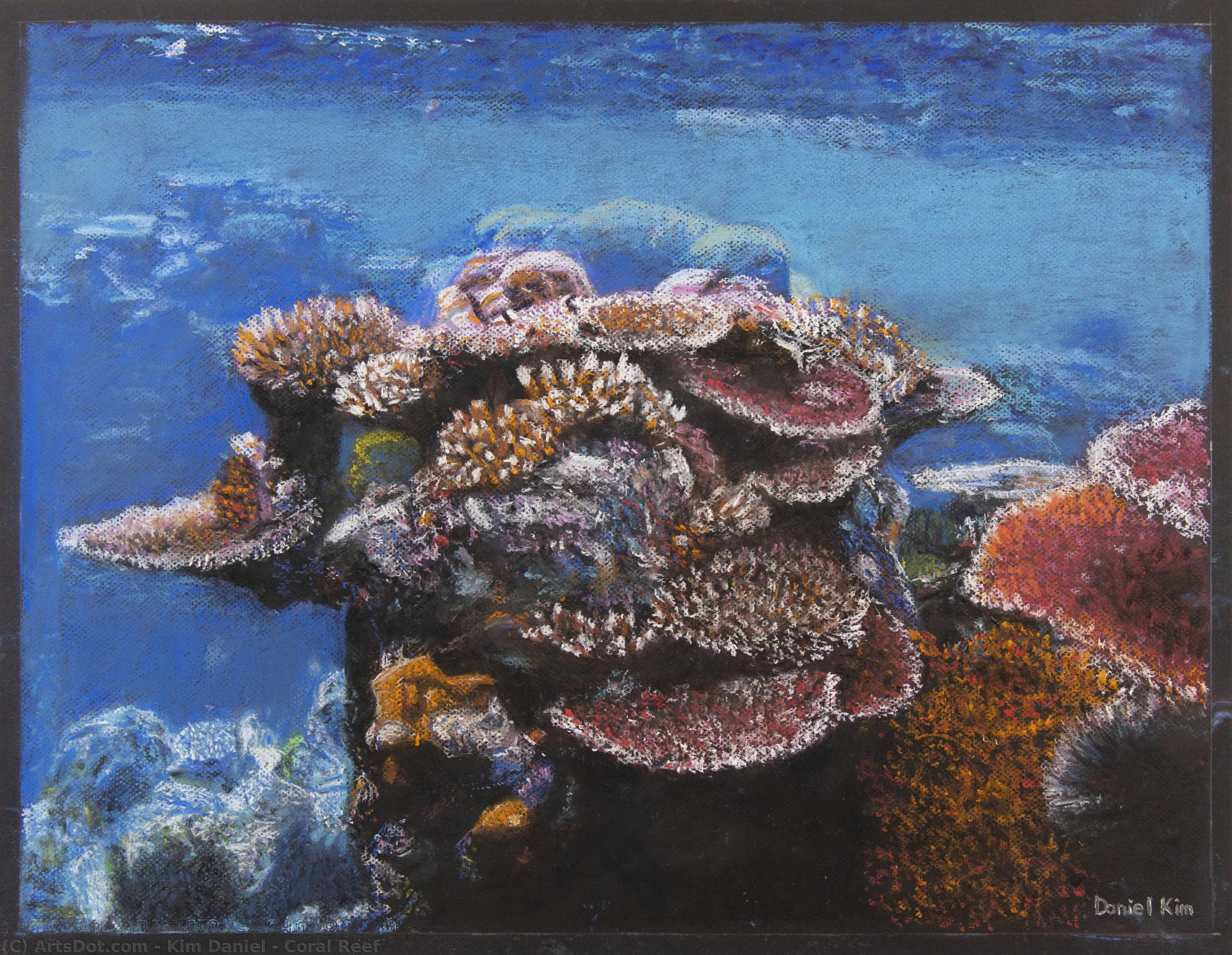 Coral Reef — Kim Daniel