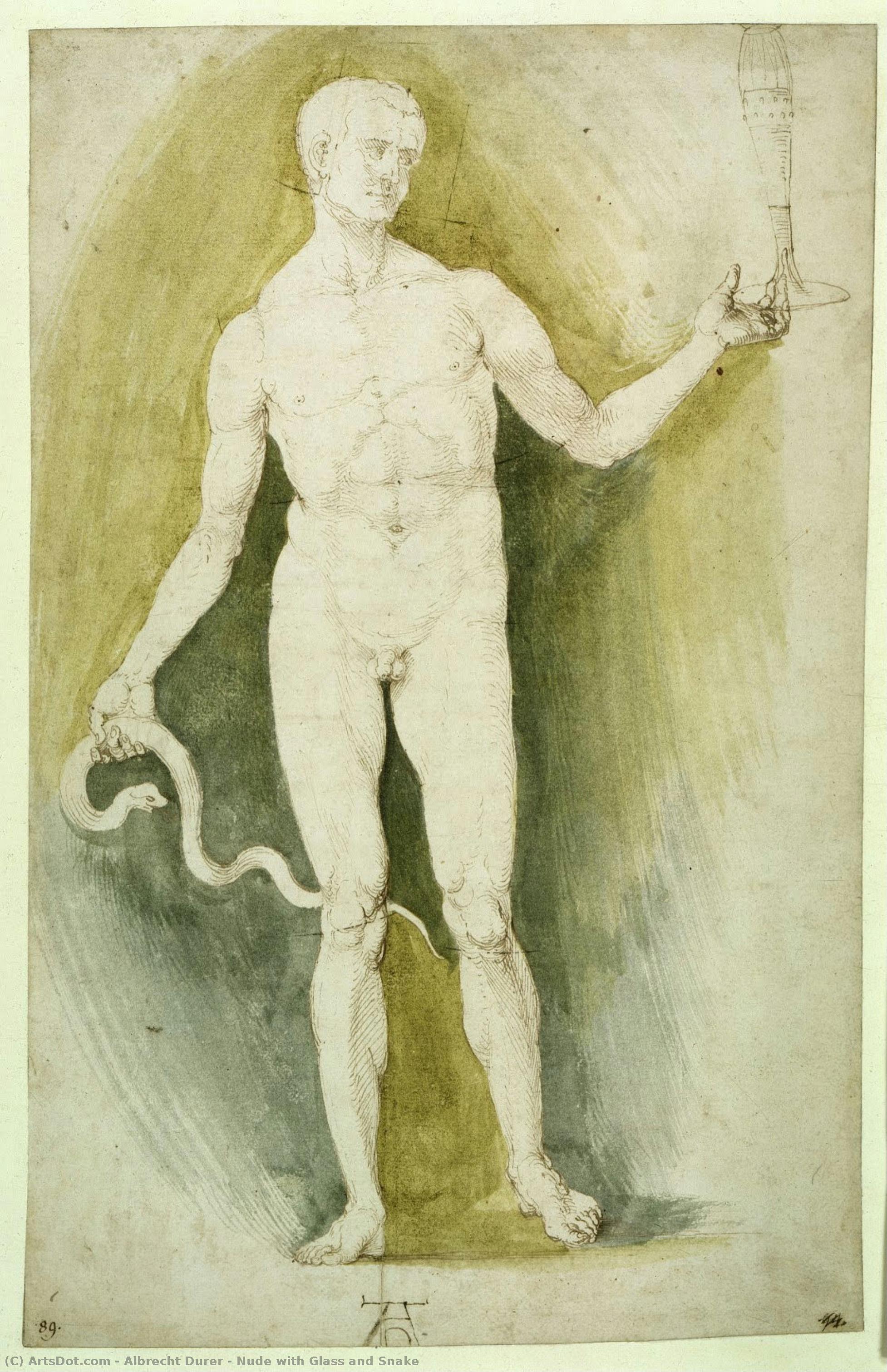Nude Com Vidro E Serpente — Albrecht Dürer