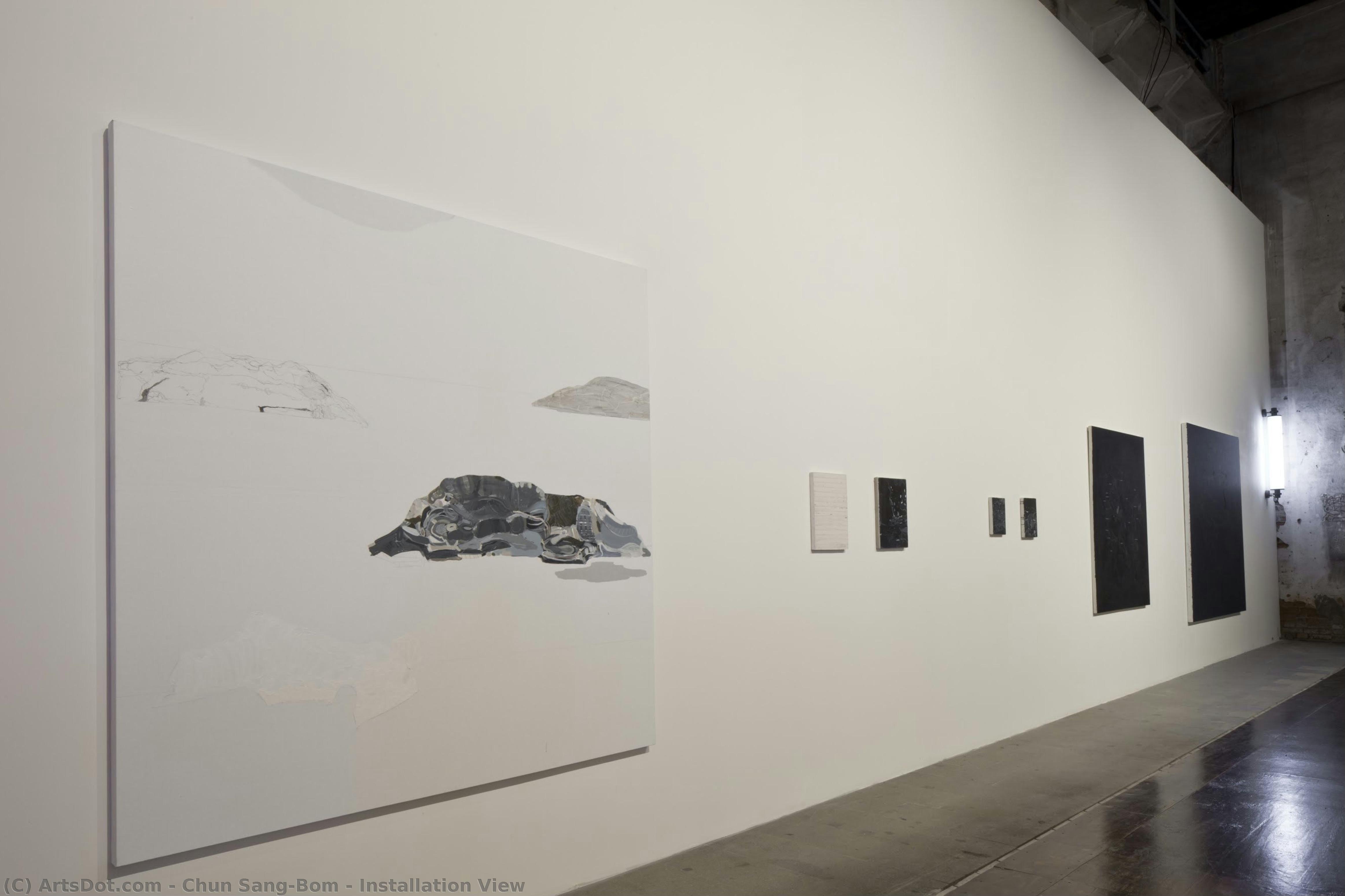 Installation View — Chun Sang-bom