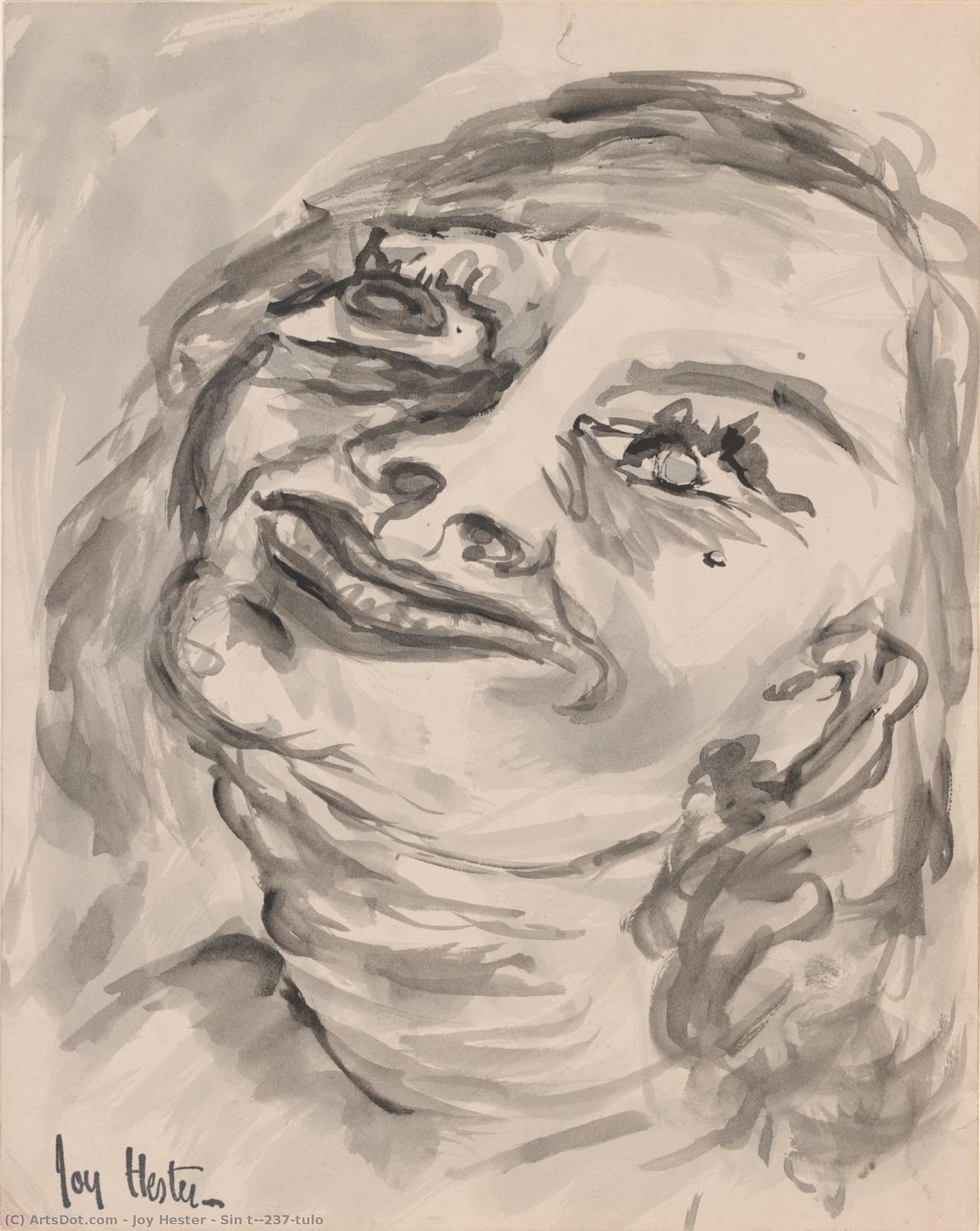 Sin Título — Joy St Clair Hester