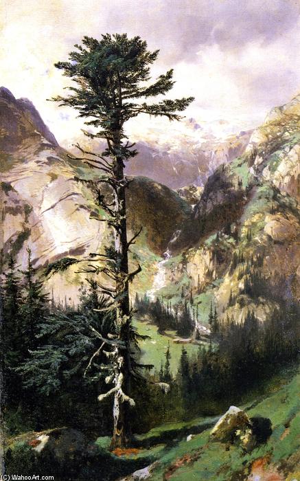 Rocky Path — Alexandre Calame