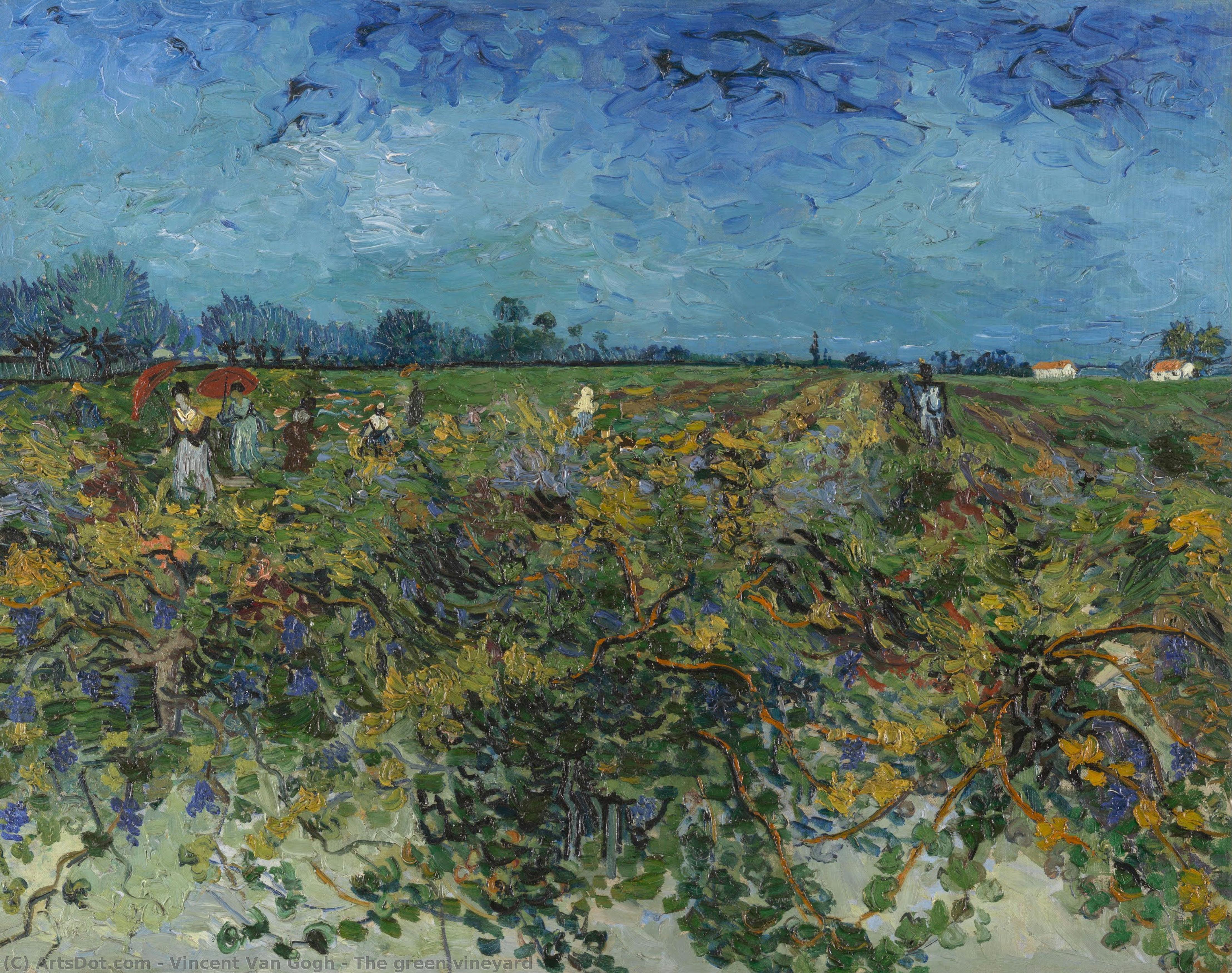 vincent willem van gogh - El viñedo verde
