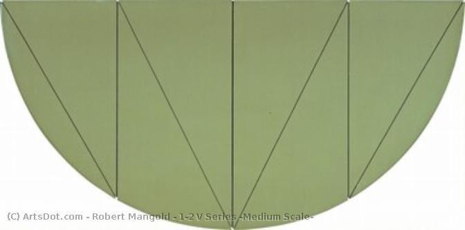 1/2 V Series (medium Scale) — Robert Mangold