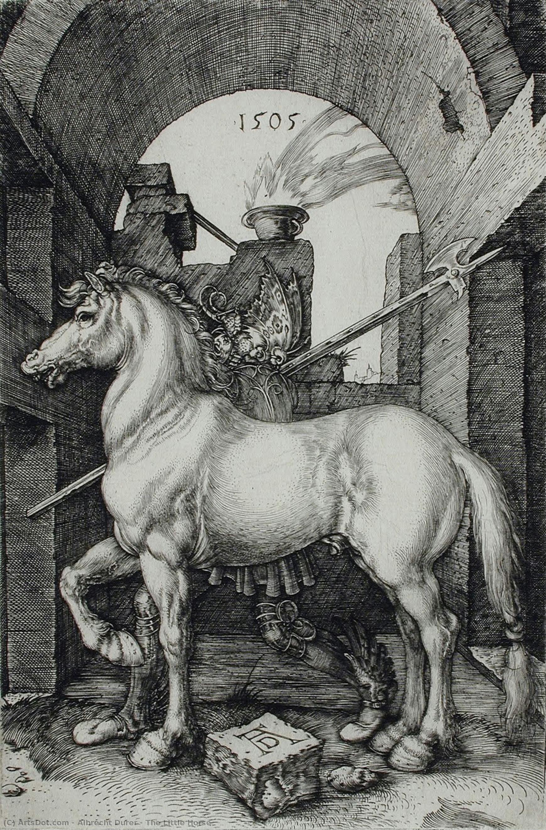 Il Piccolo Cavallo — Albrecht Dürer