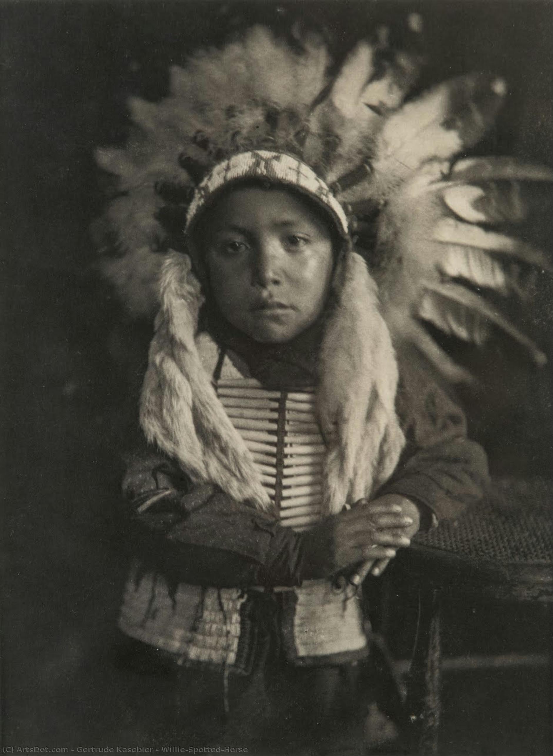 Willie-spotted Horse — Gertrudes Kasebier