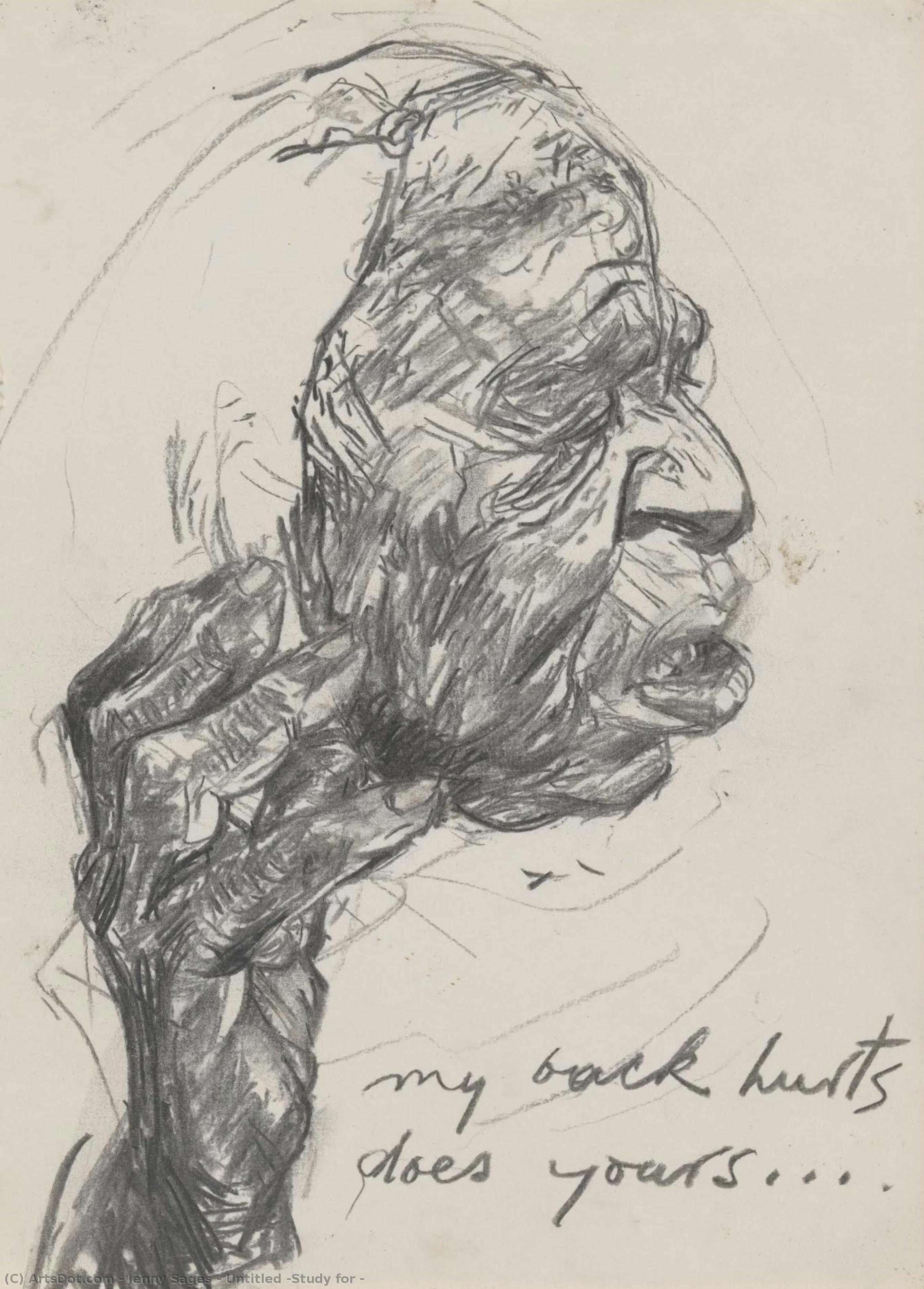 Untitled (study For — Jenny Sages