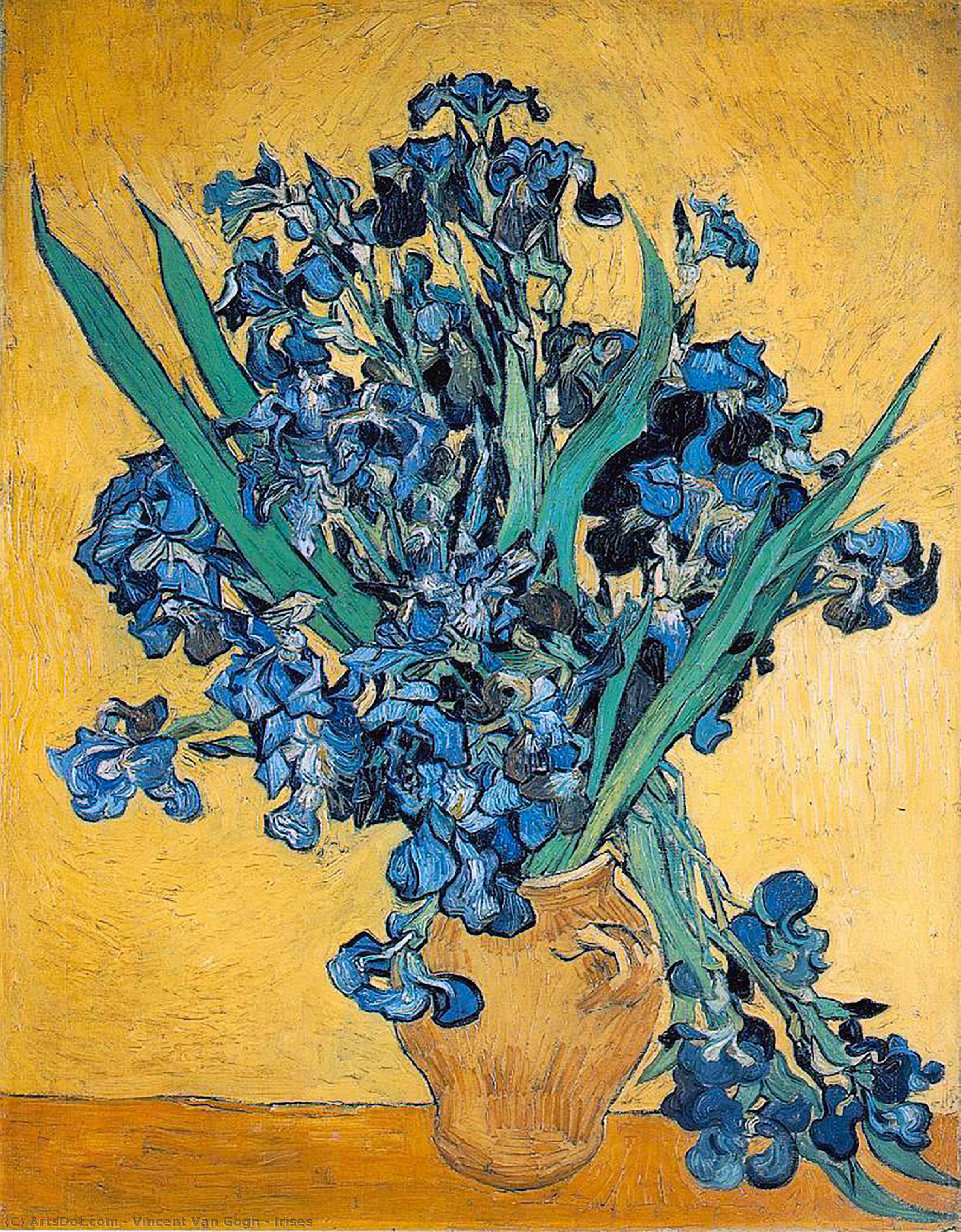 vincent willem van gogh - Irises