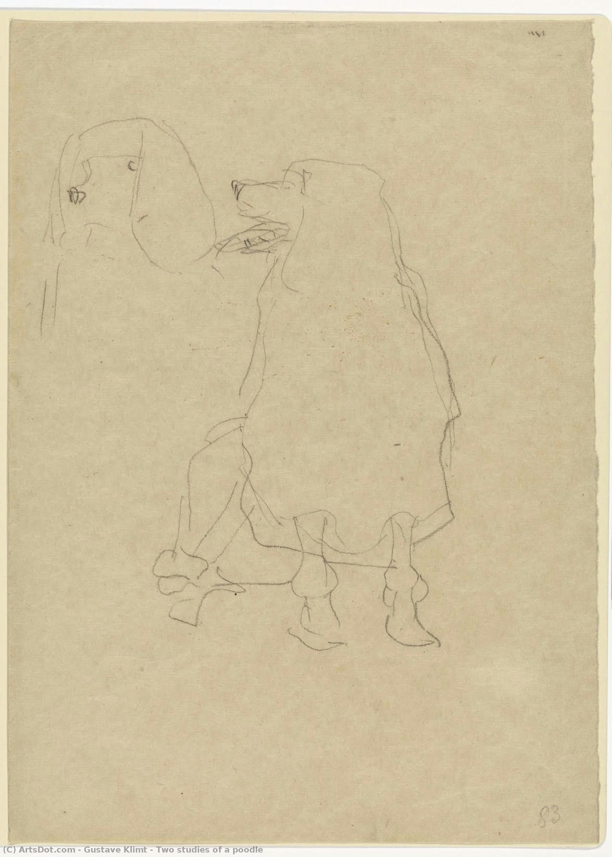 Zwei Studien Eines Pudels — Gustav Klimt