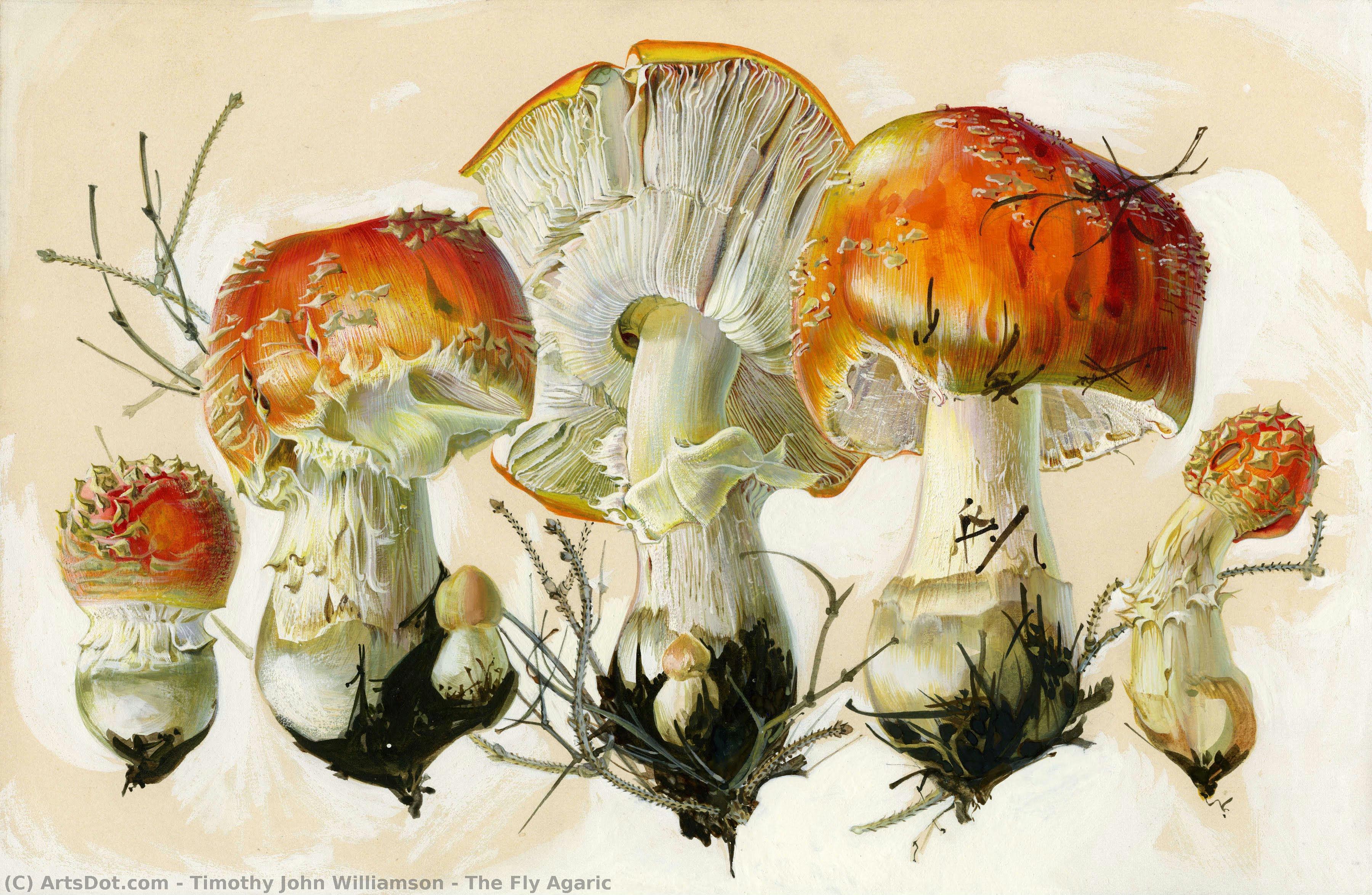 The Fly Agaric — Timothy John Williamson
