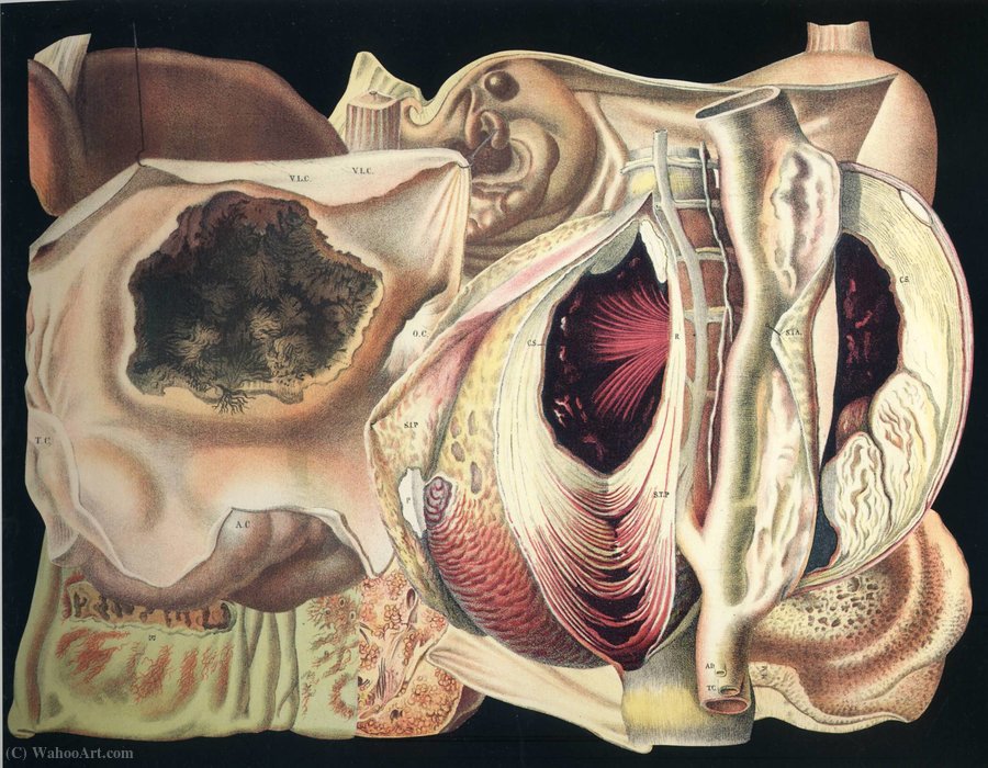 Untitled (304) — Frederick Sommer