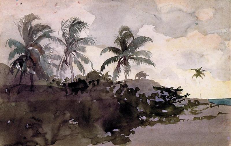 Winslow Homer - Coconut Palms