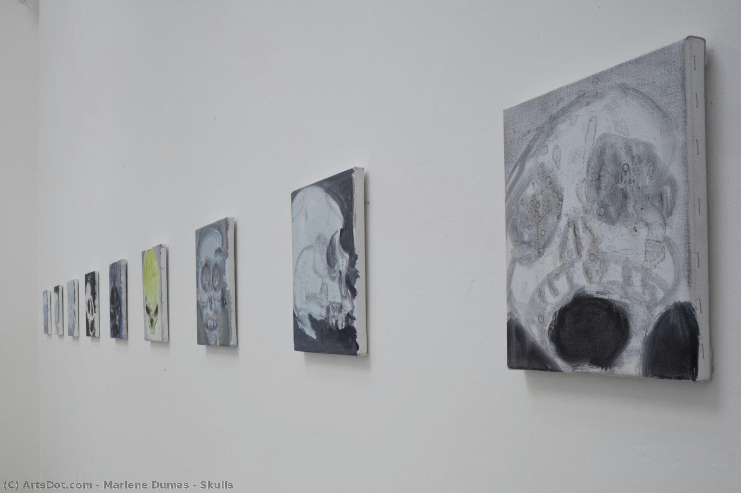 Marlene Dumas - Skulls