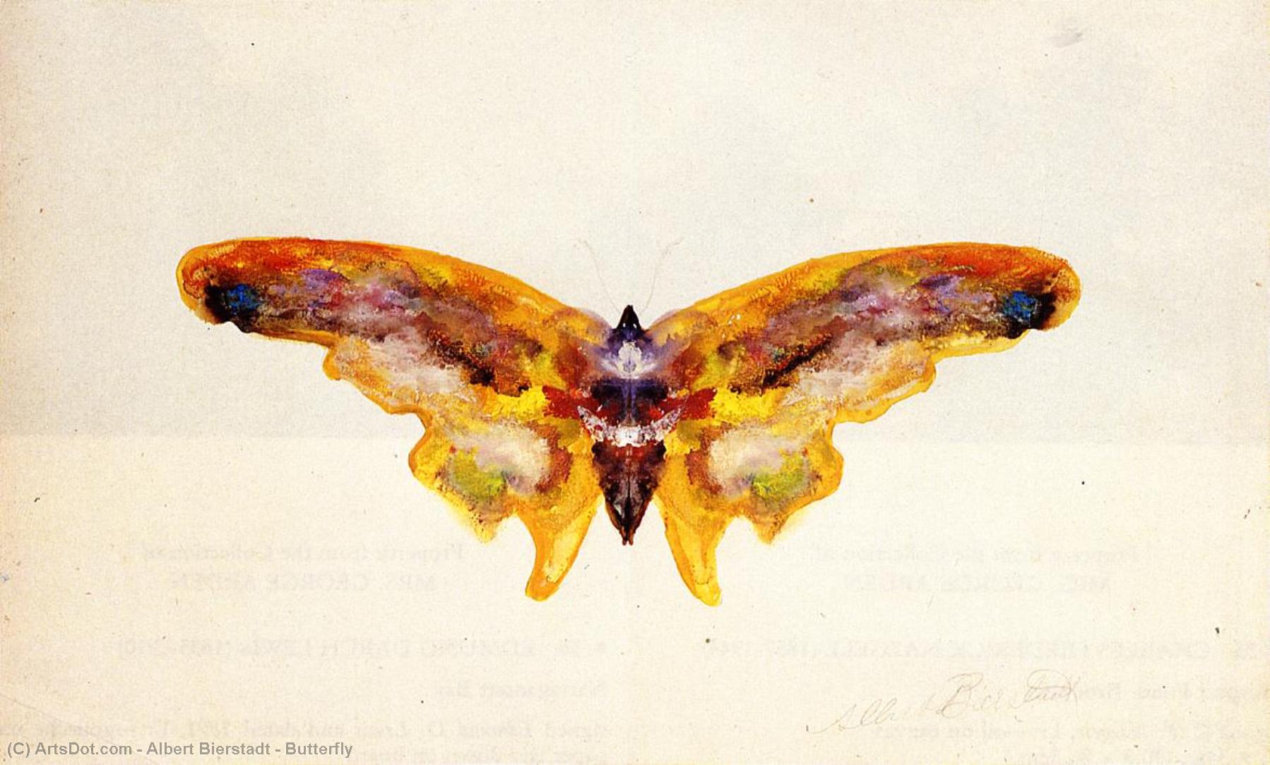Butterfly — Алберт Бирштадт