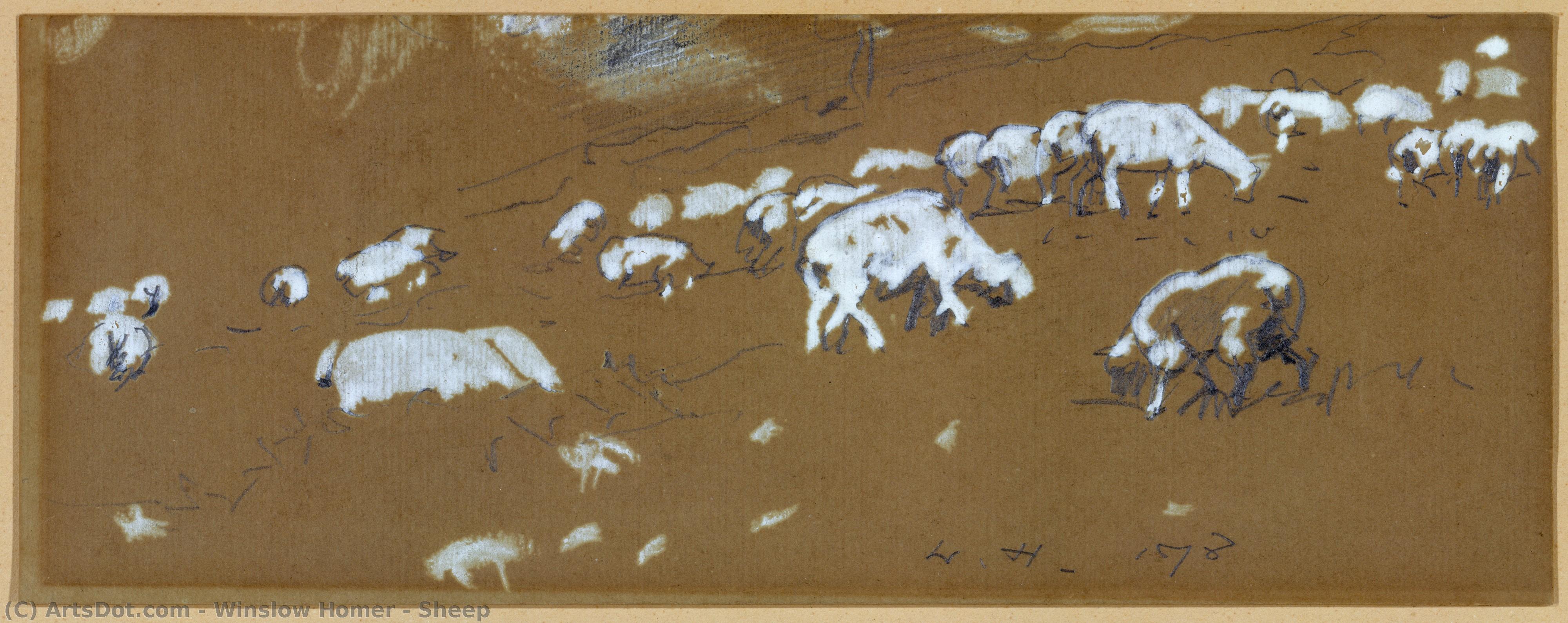 Sheep — Winslow Homer