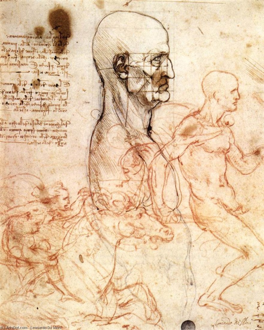 Testa Misurata E Cavalieri — Leonardo Da Vinci