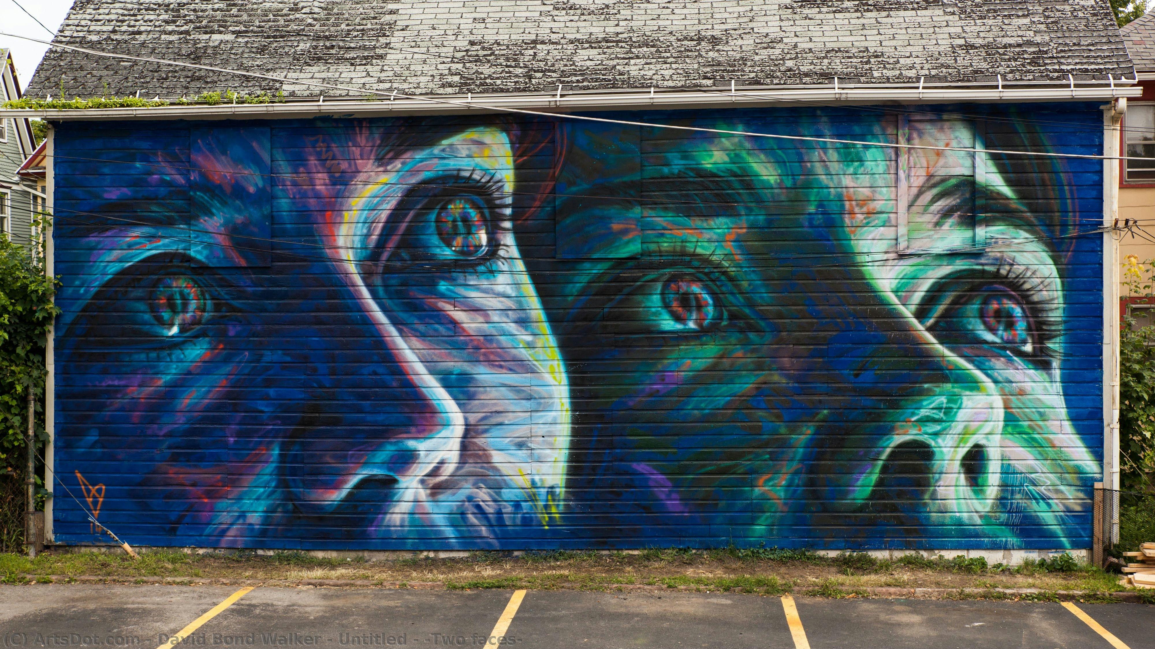Untitled - (two Faces) — David Bond Walker