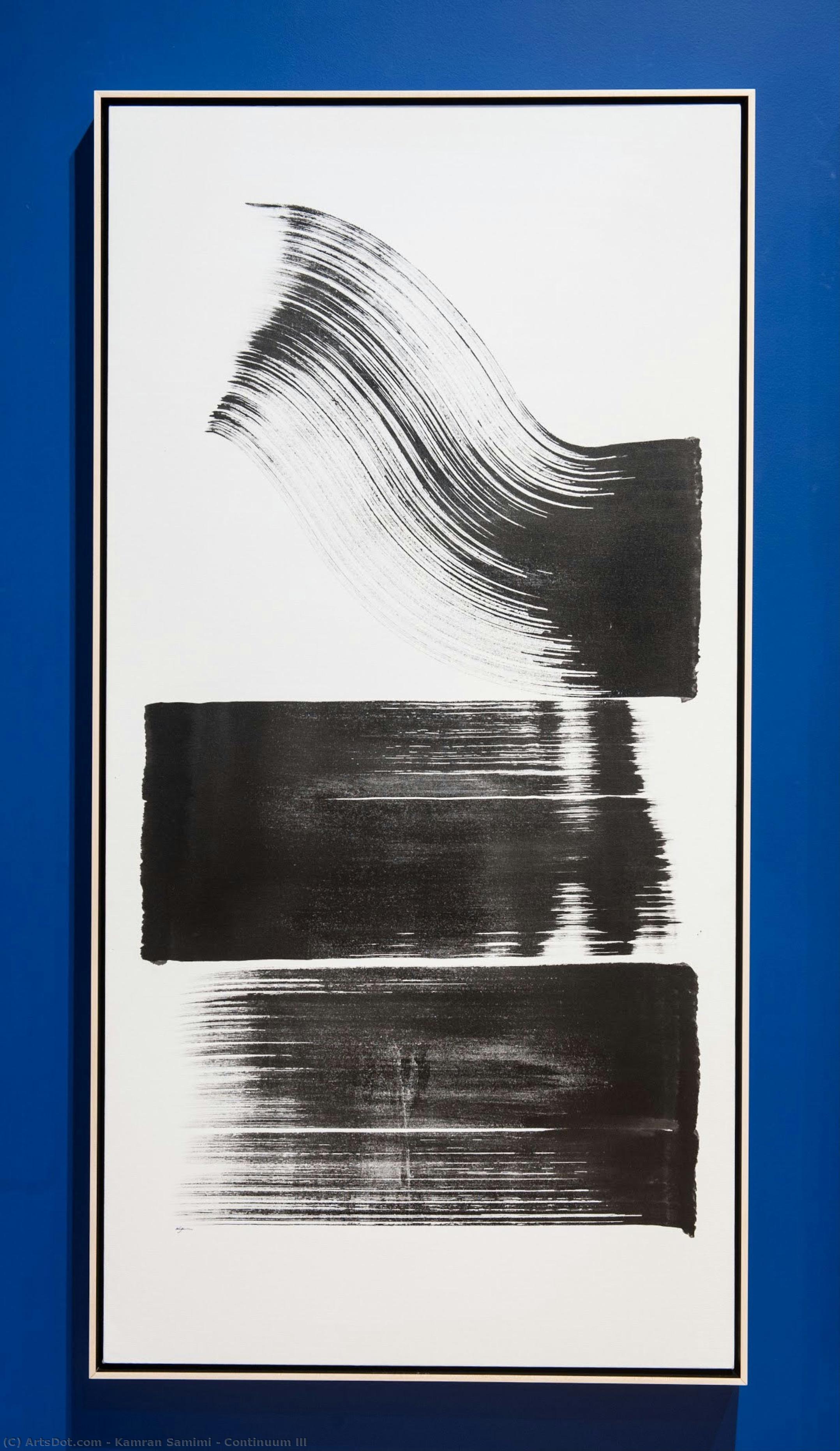 Continuum Iii — Kamran Samimi