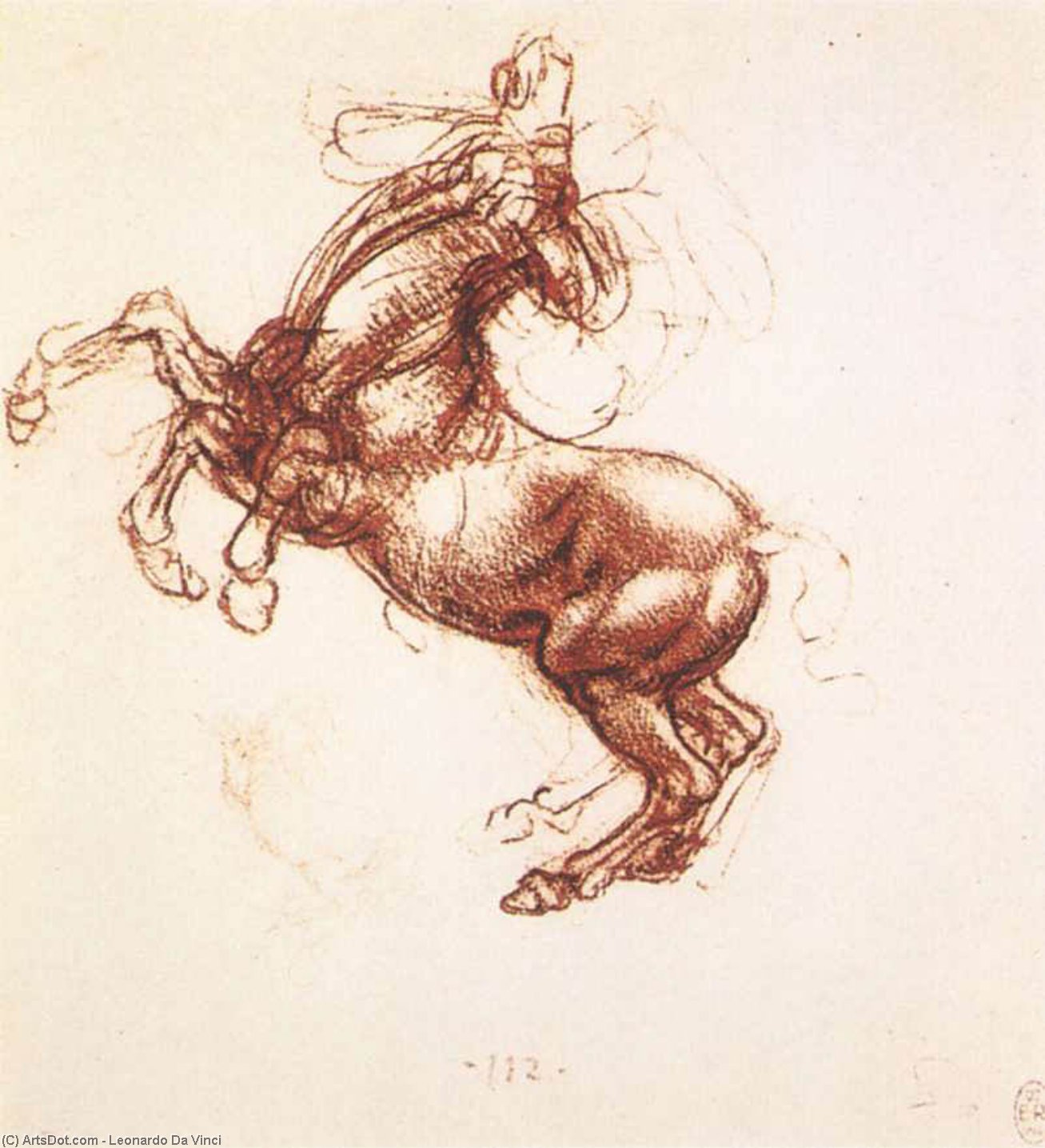 Léonard de Vinci - Le cheval qui se cabre