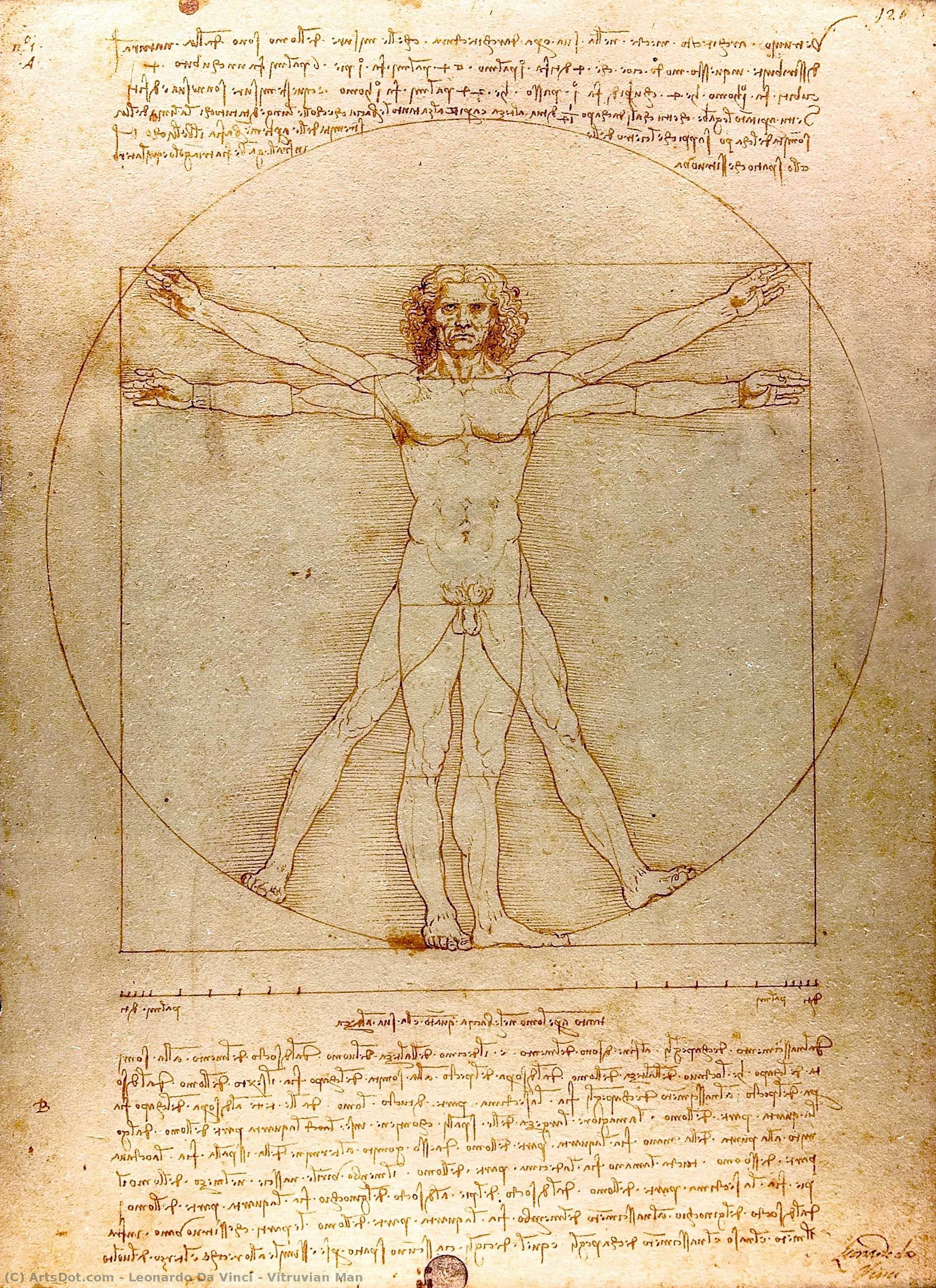 Leonardo da Vinci - L'Uomo Vitruviano