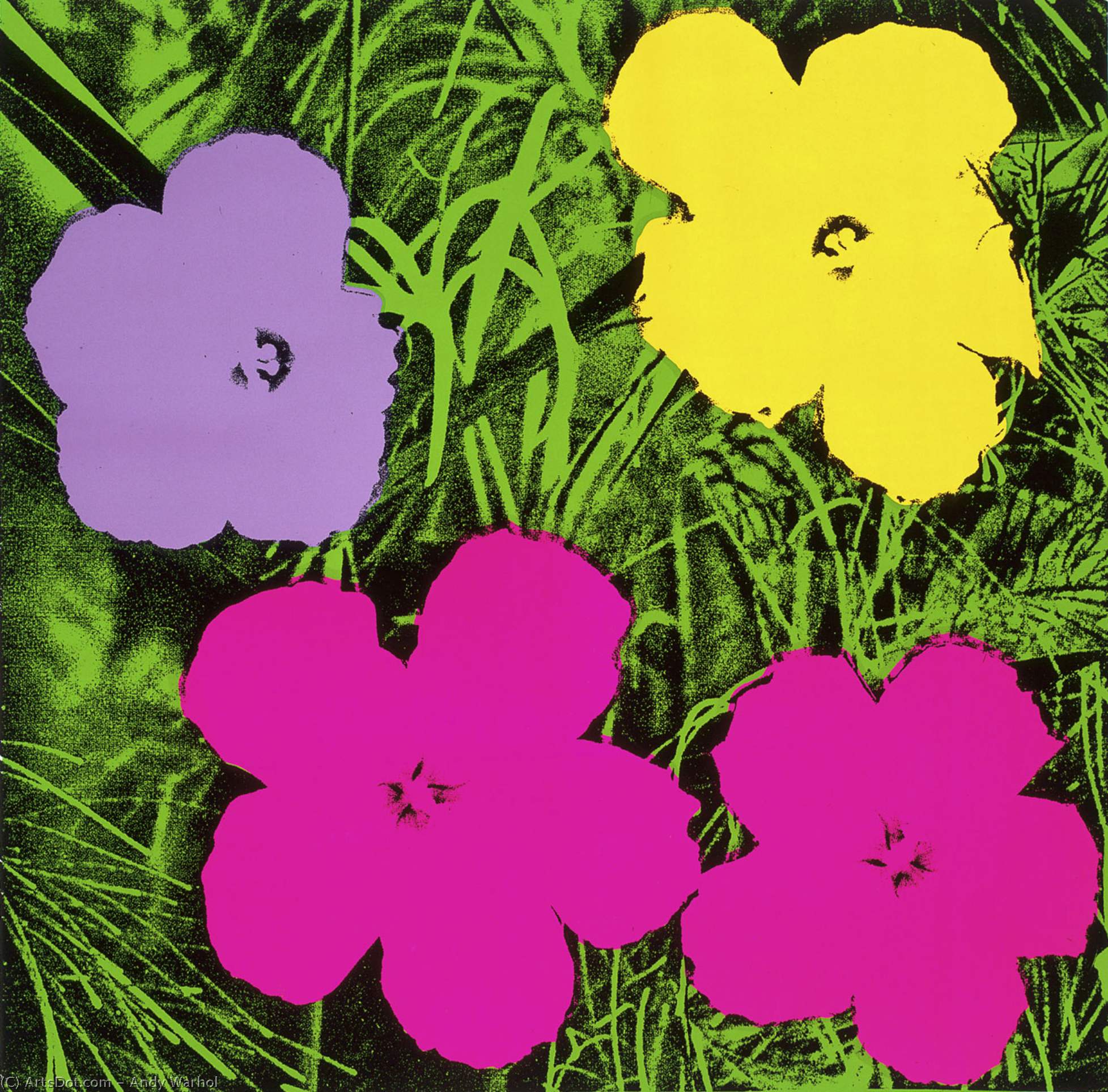 Andy Warhol - Bloemen