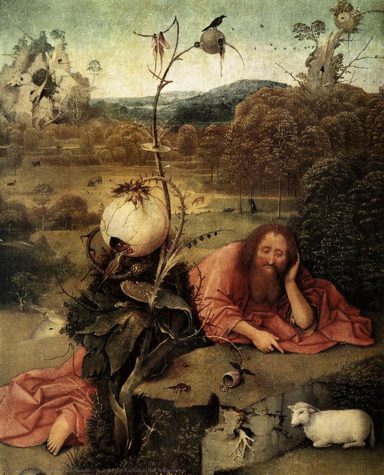 St. John The Baptist W Pustyni — Hieronim Bosch