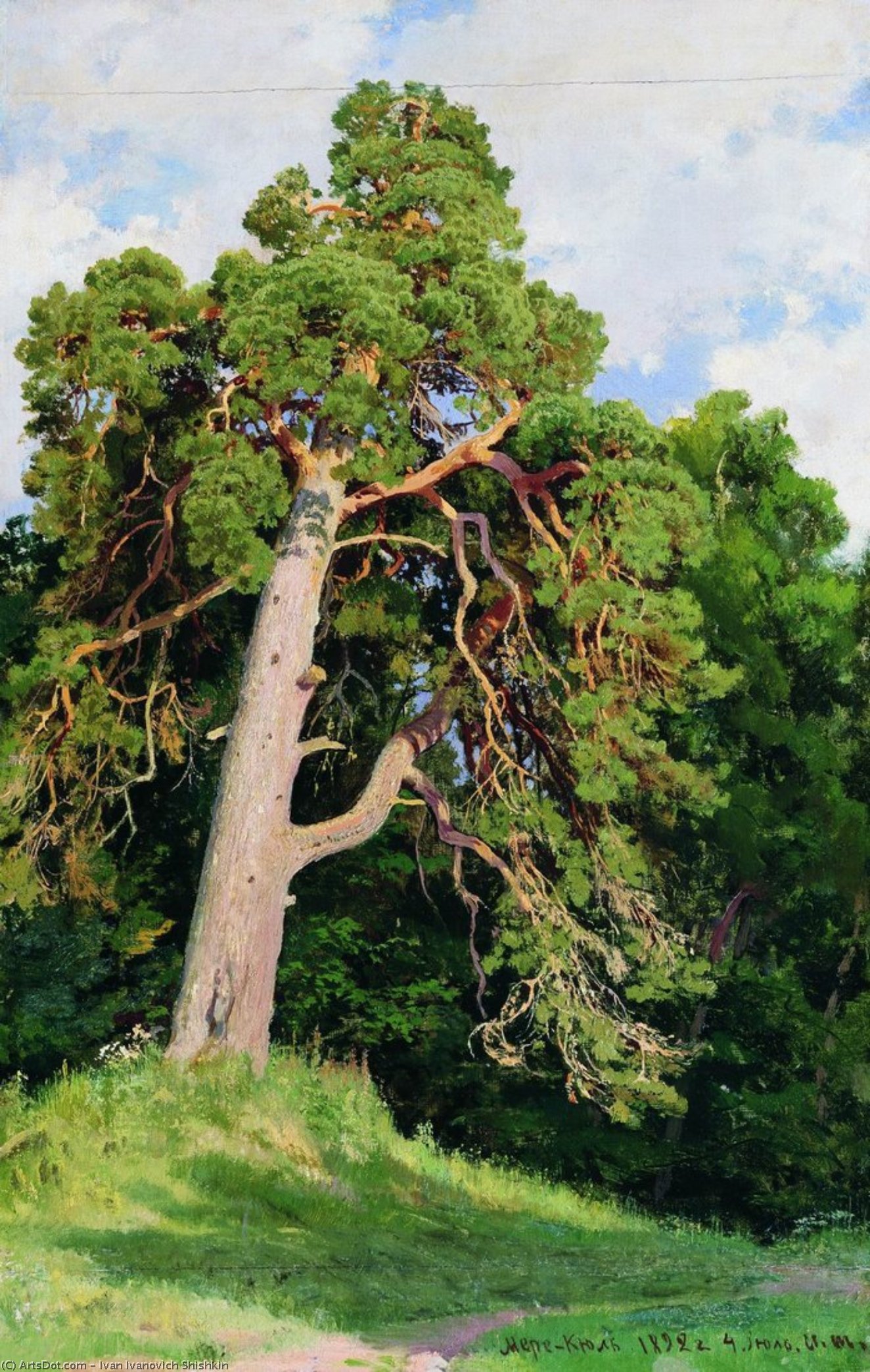 Pine — İvan İvanoviç Şişkin