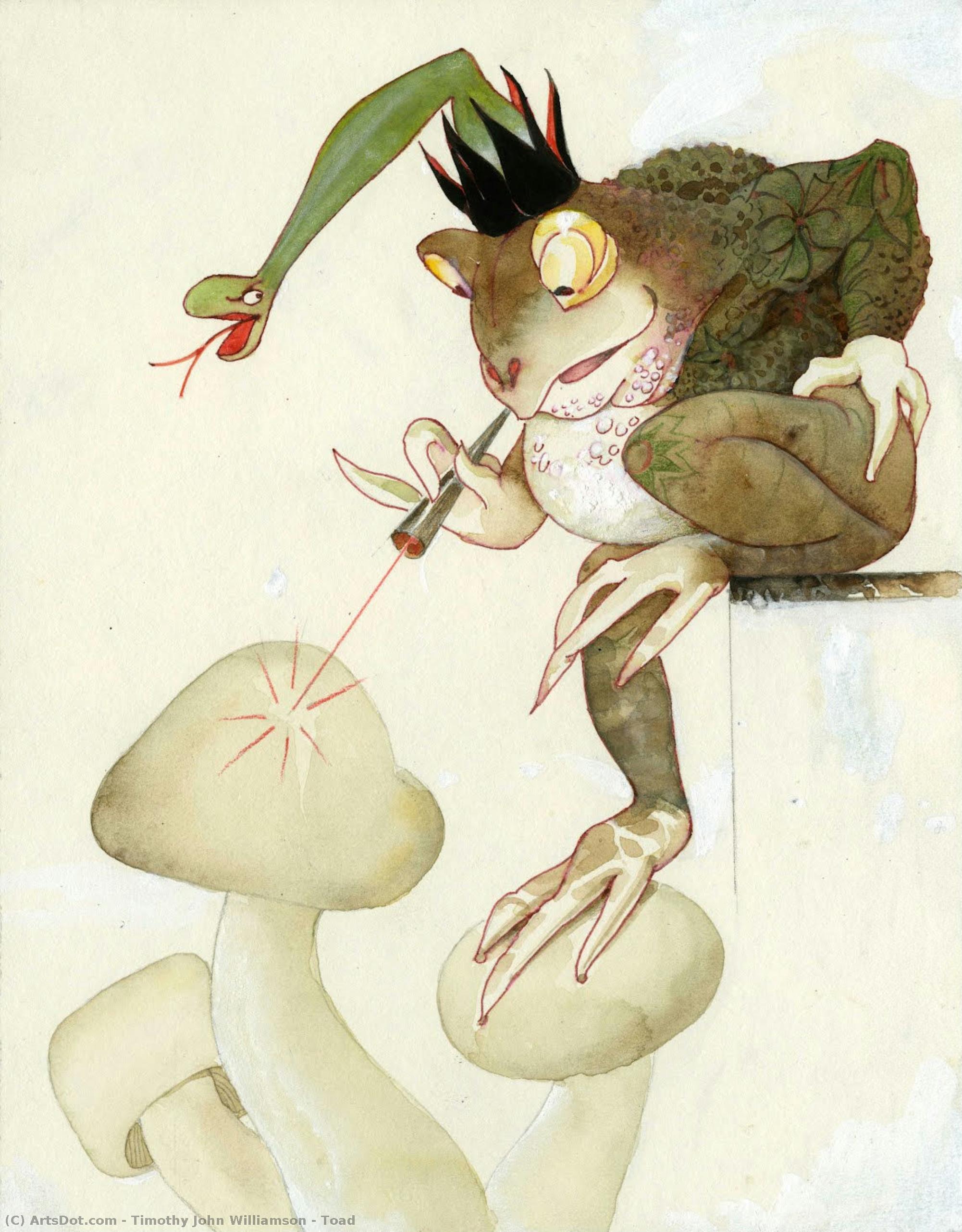 Timothy John Williamson - Toad