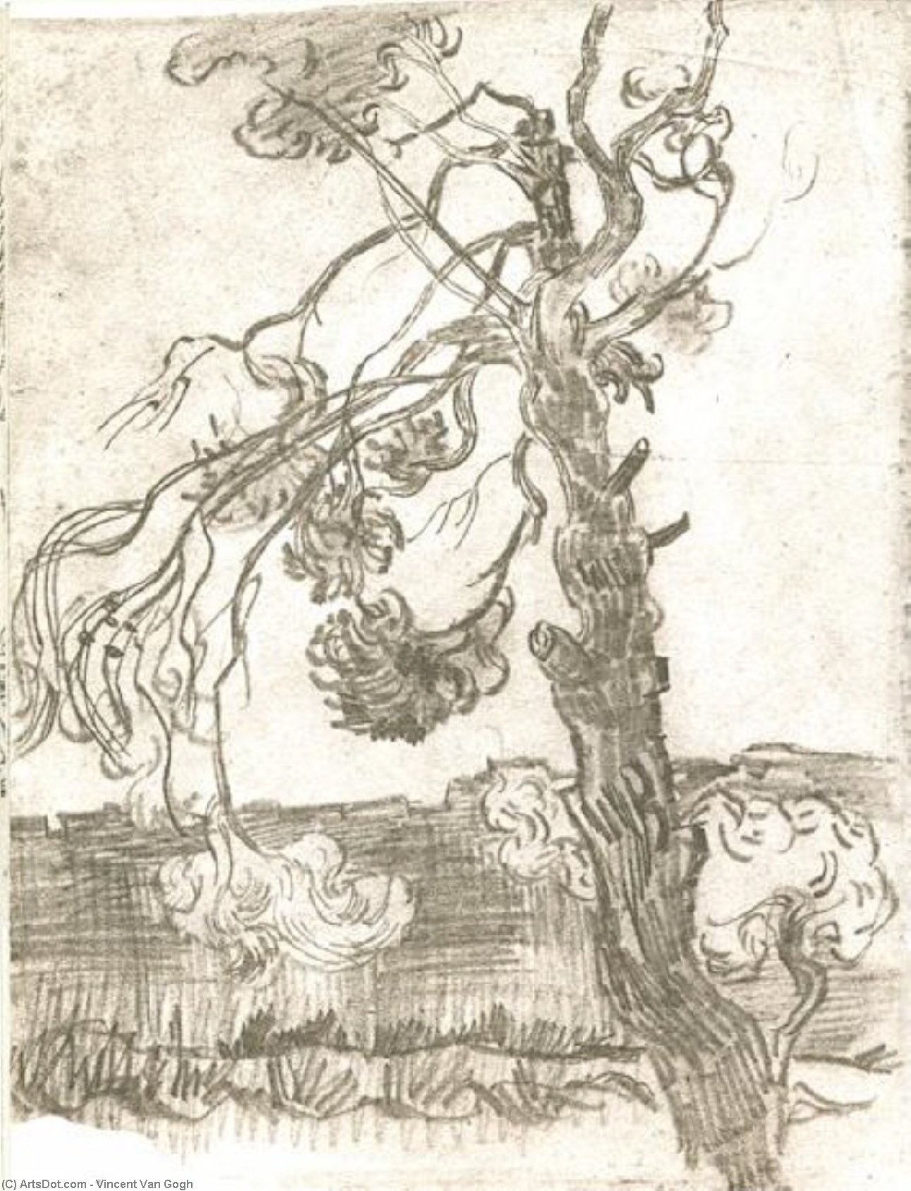 A Weather-beaten Pine Tree — Vincent Willem Van Gogh