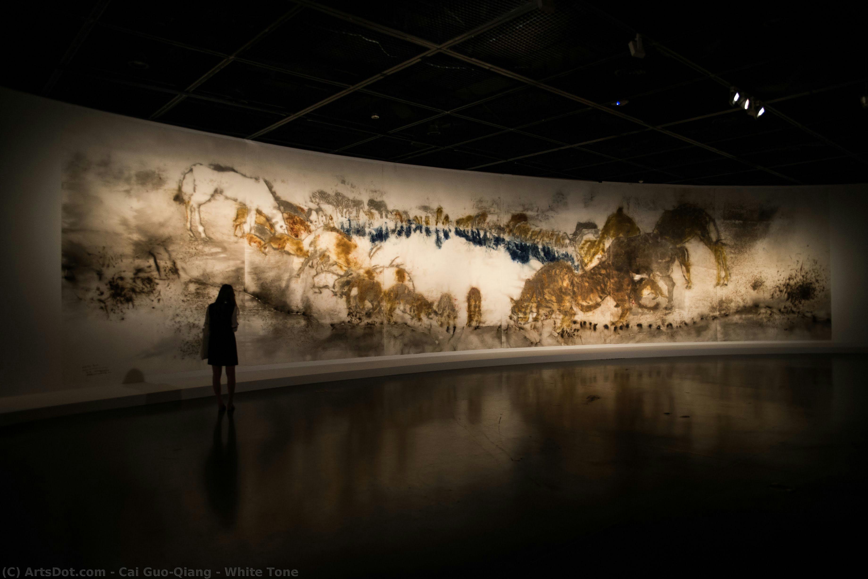 Cai Guo-Qiang - White Tone