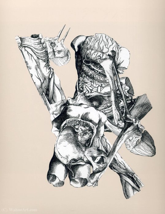 Untitled (738) — Frederick Sommer