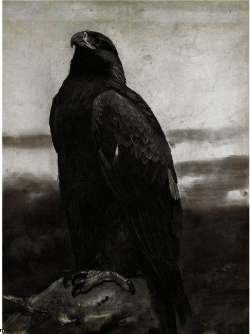 Golden Eagle — Archibald Thorburn
