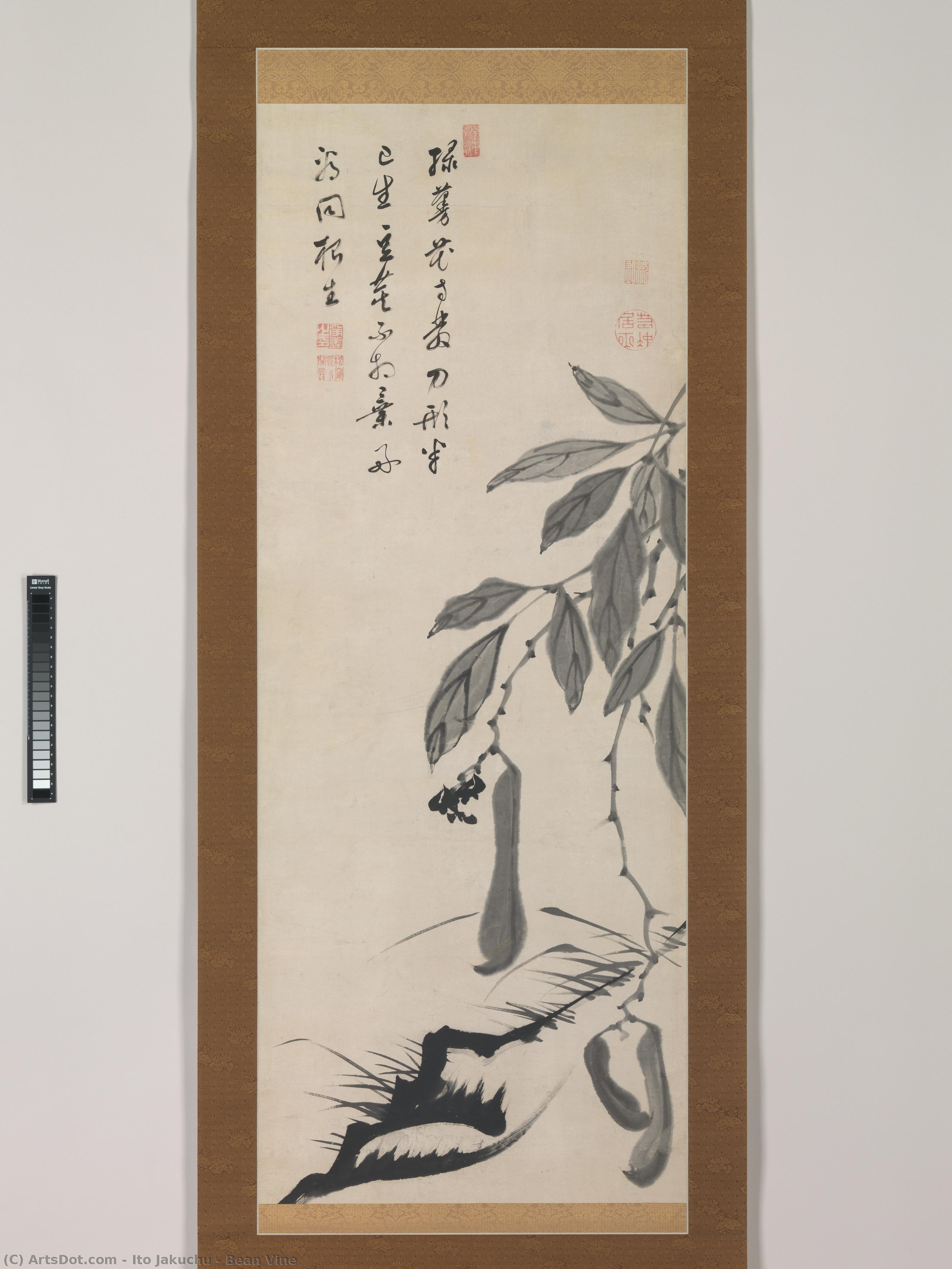 Ito Jakuchū - Bean Vine