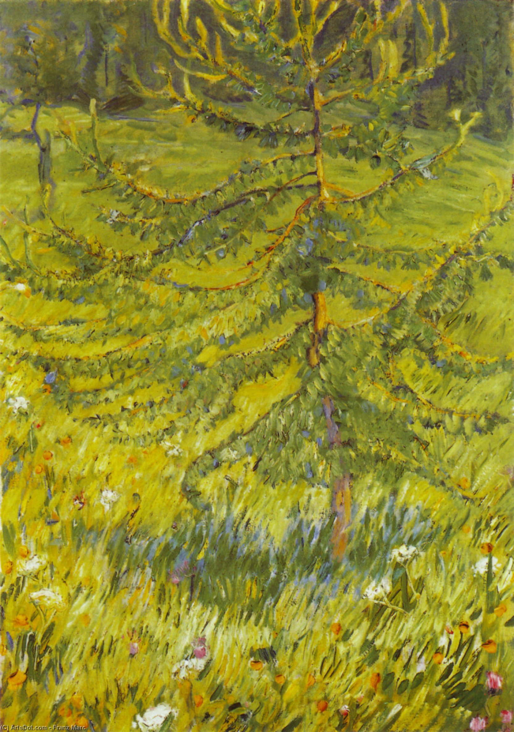 Larchsapling — Franz Marc