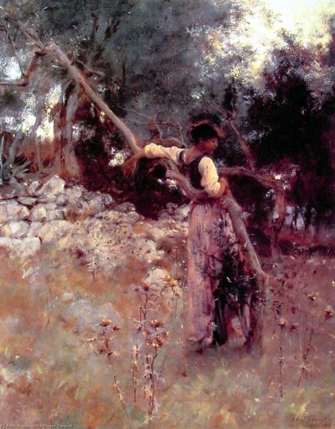 A Capriote — John Singer Sargent