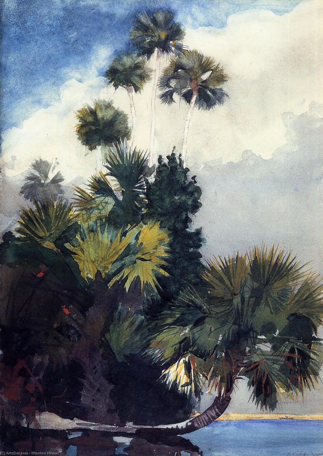 Palm Trees, Florida — Winslow Homer