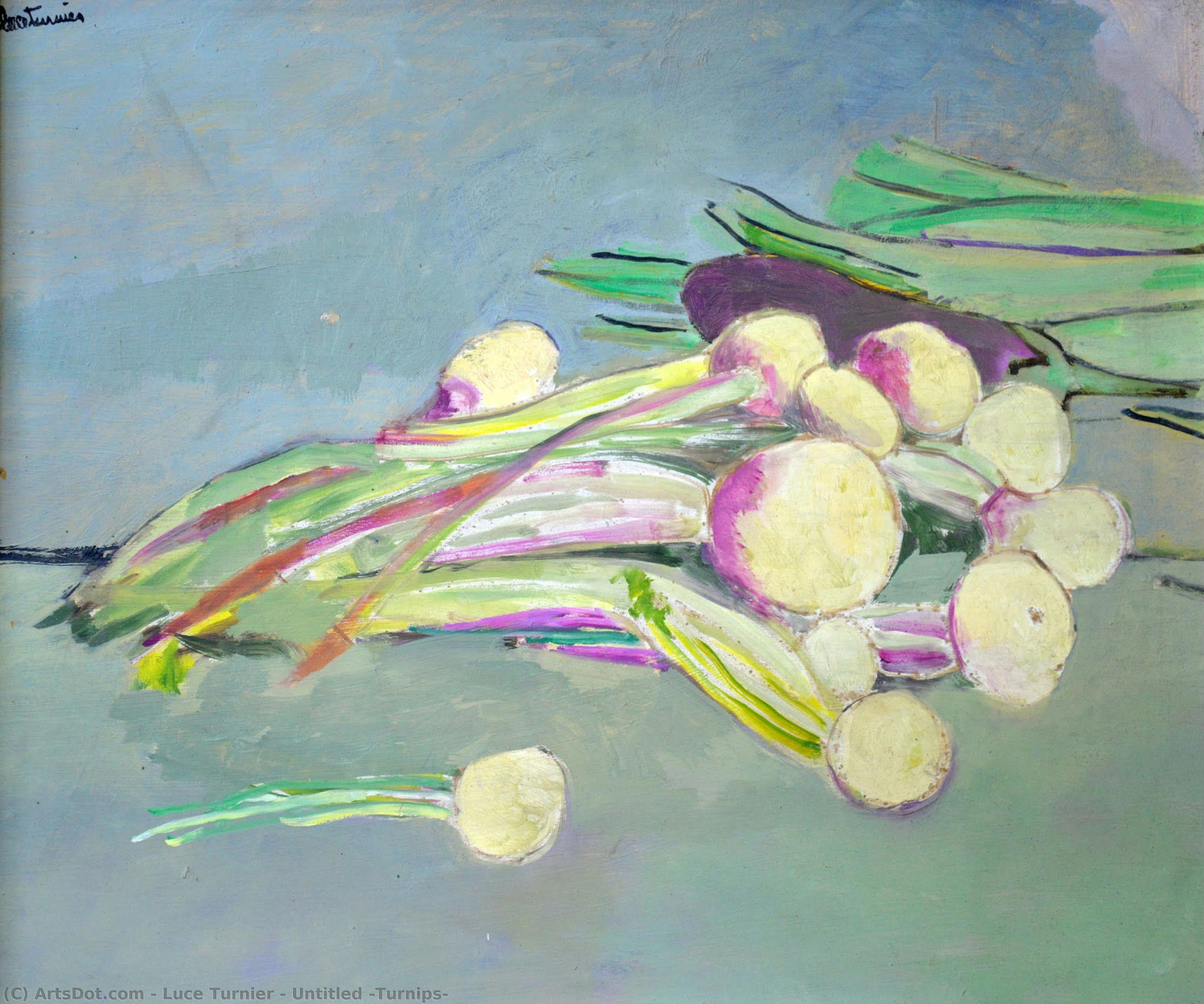 Untitled (turnips) — Lucie Turnier