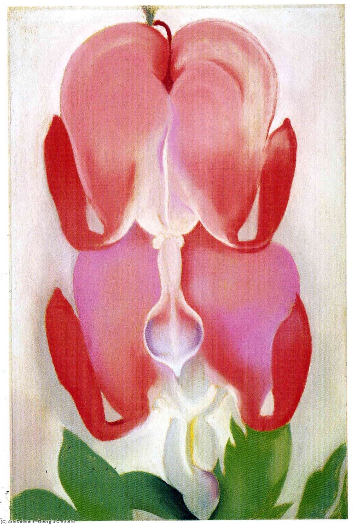 Bleeding Heart — Georgia O'keeffe