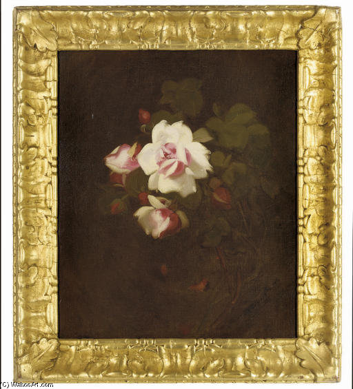 Pink Roses — James Stuart Park