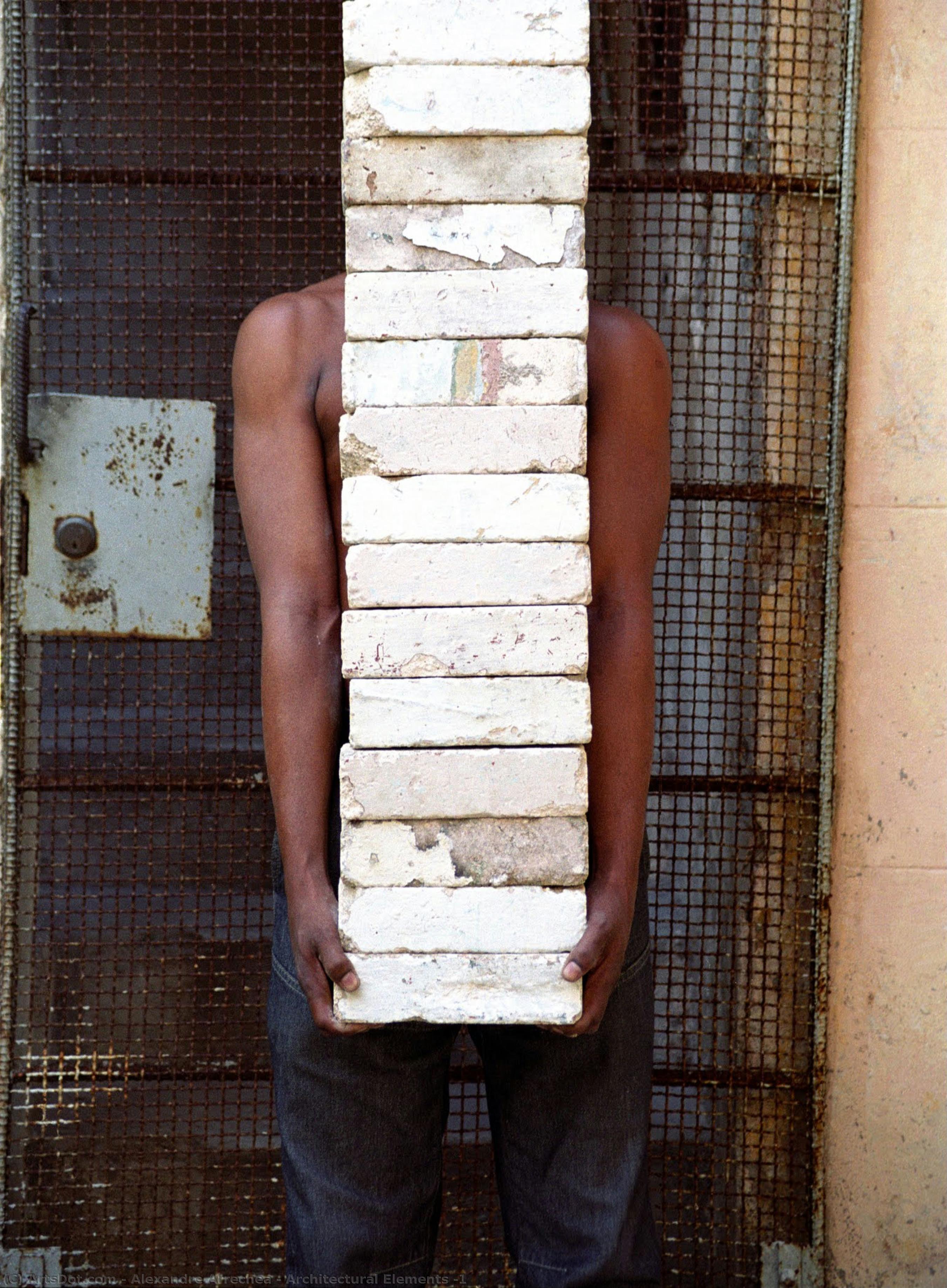 Architectural Elements #1 — Alexandre Arrechea