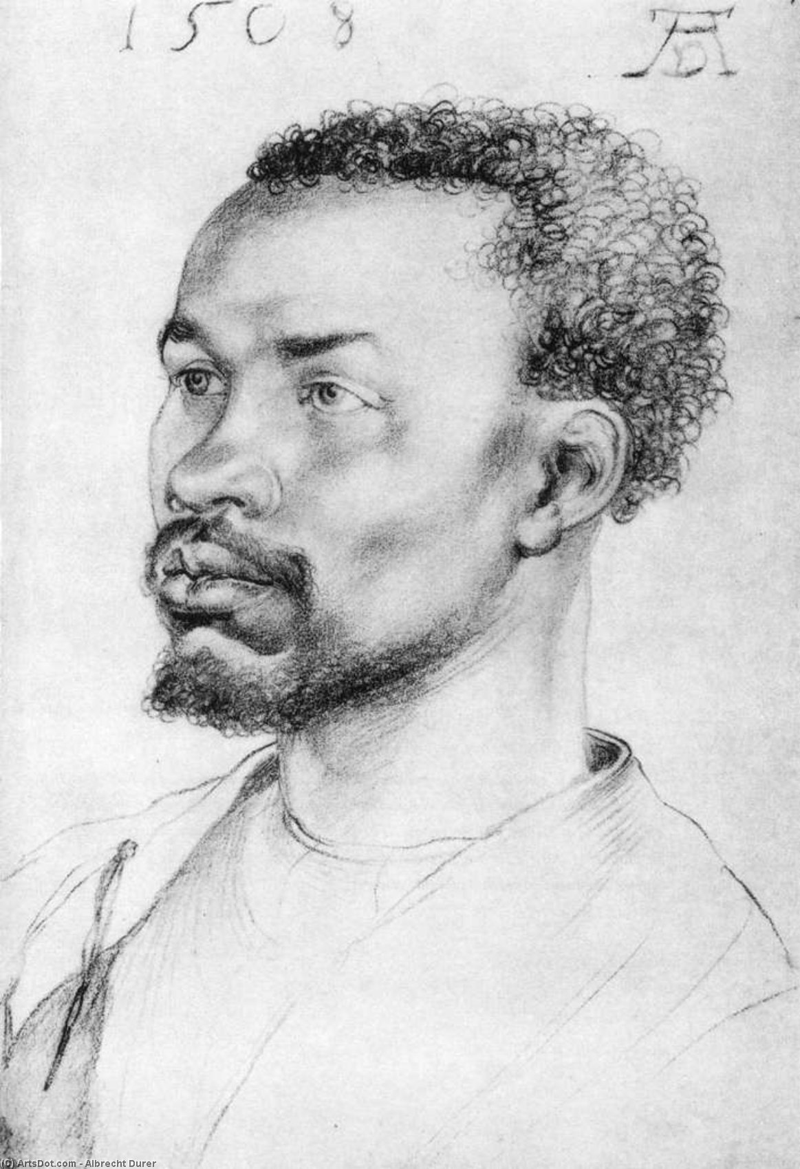 Kopf Eines Schwarzen — Albrecht Dürer
