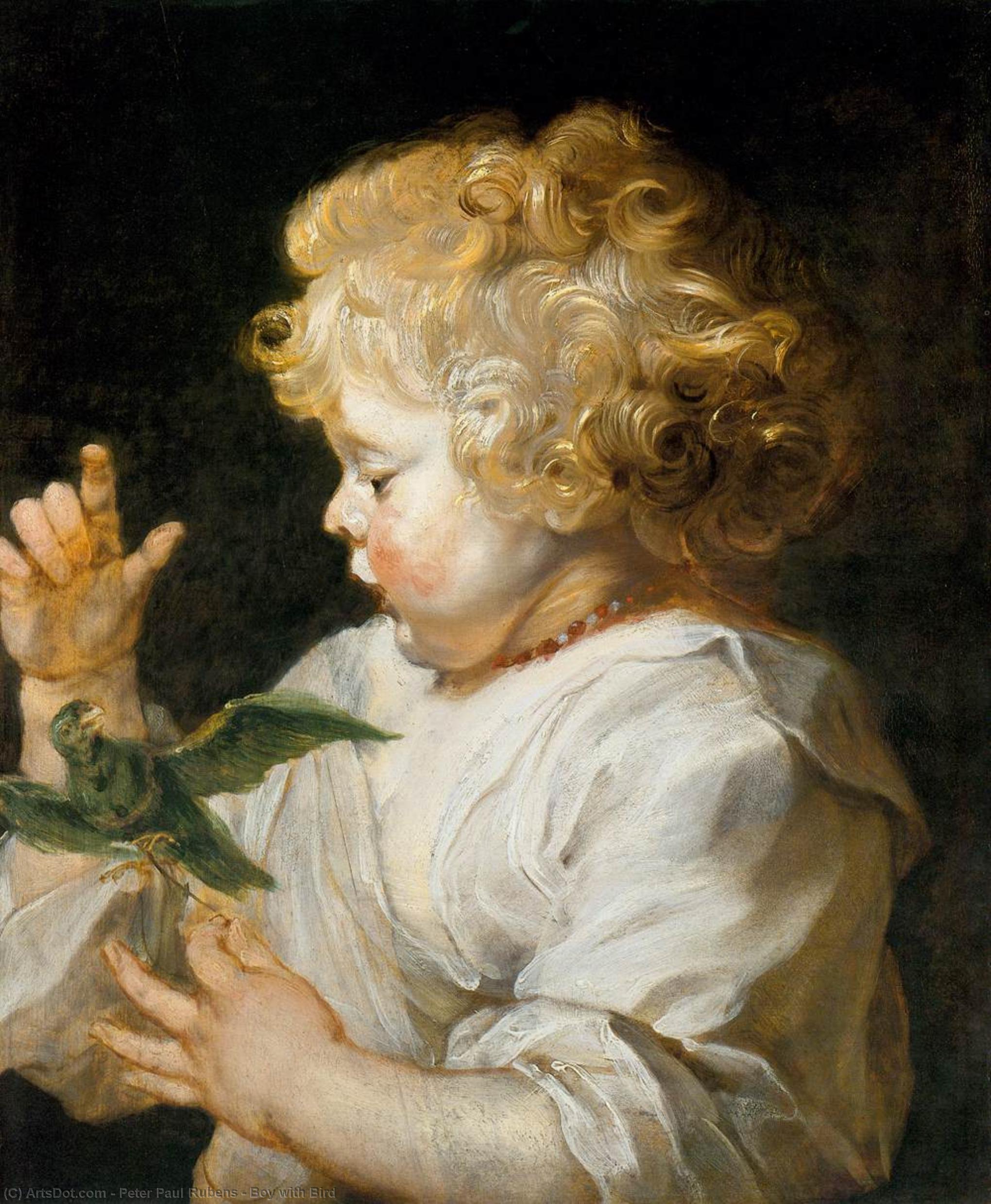 Junge Mit Vogel — Peter Paul Rubens