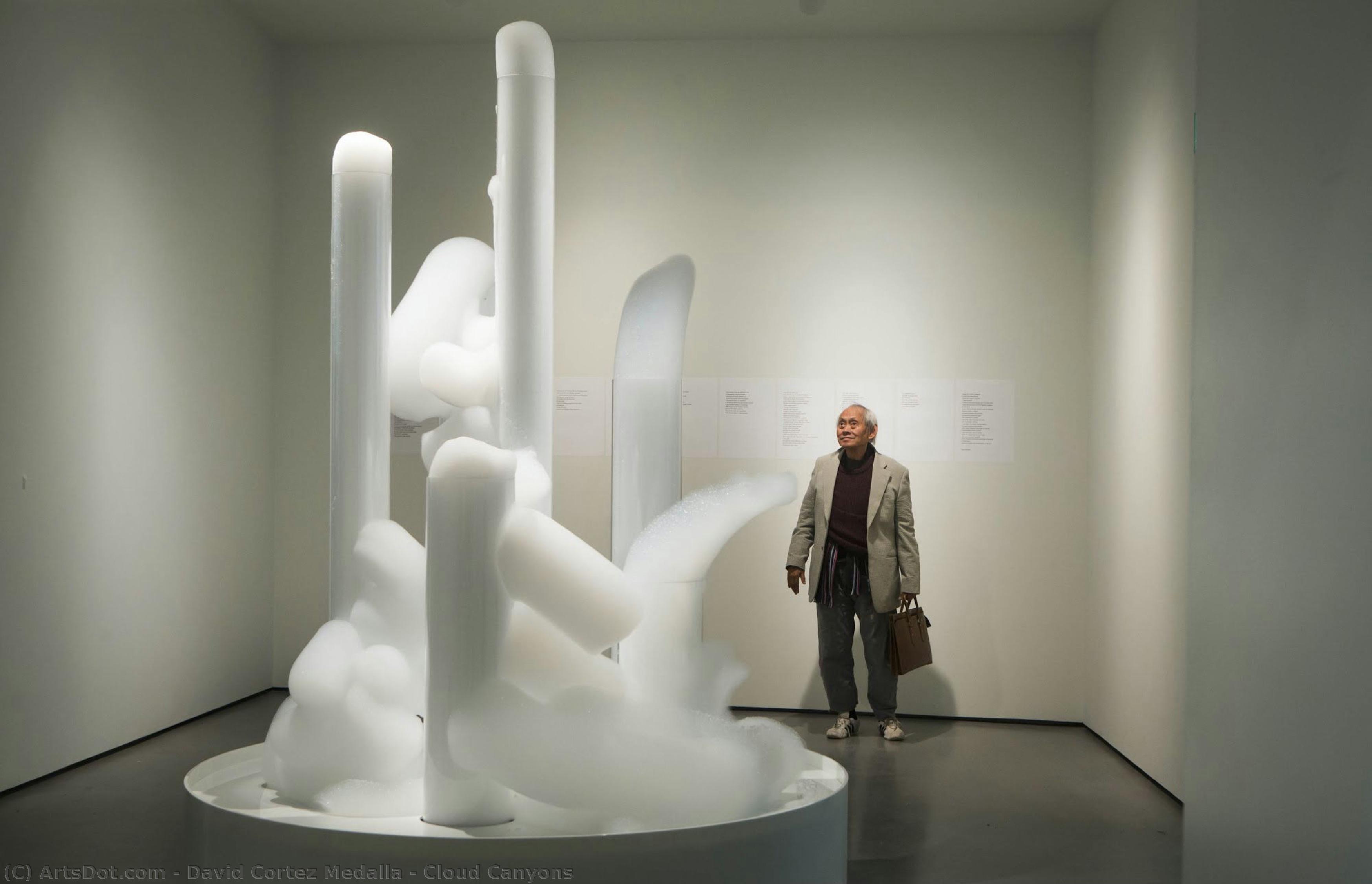 Cloud Canyons — David Medalla