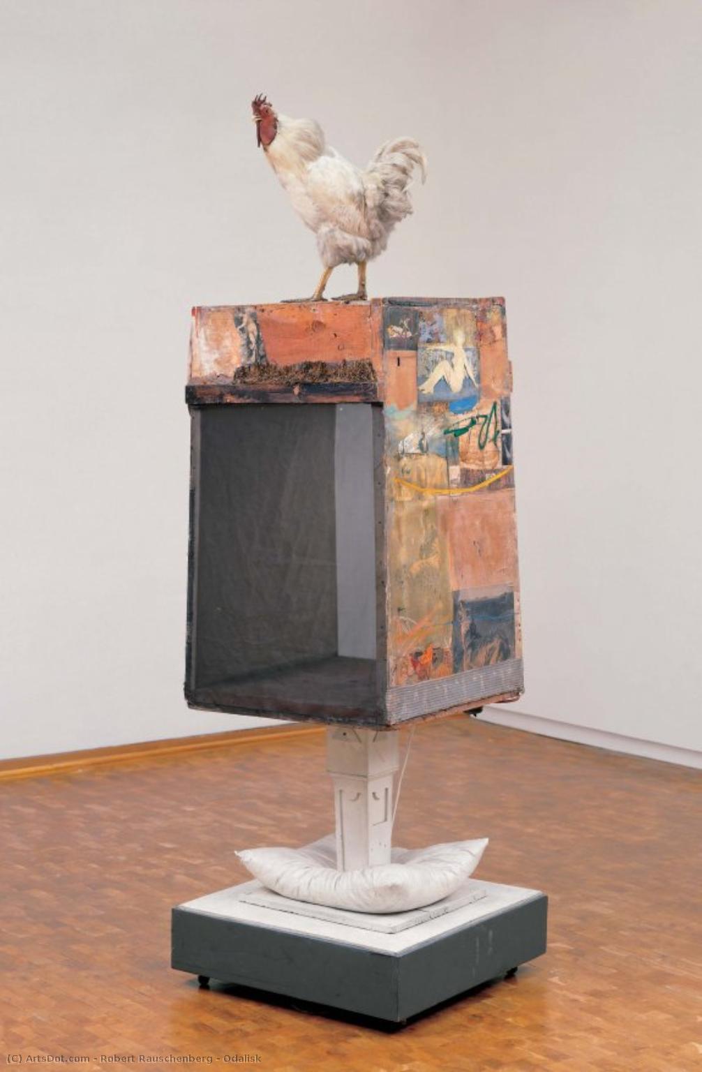 Odalisk — Robert Rauschenberg