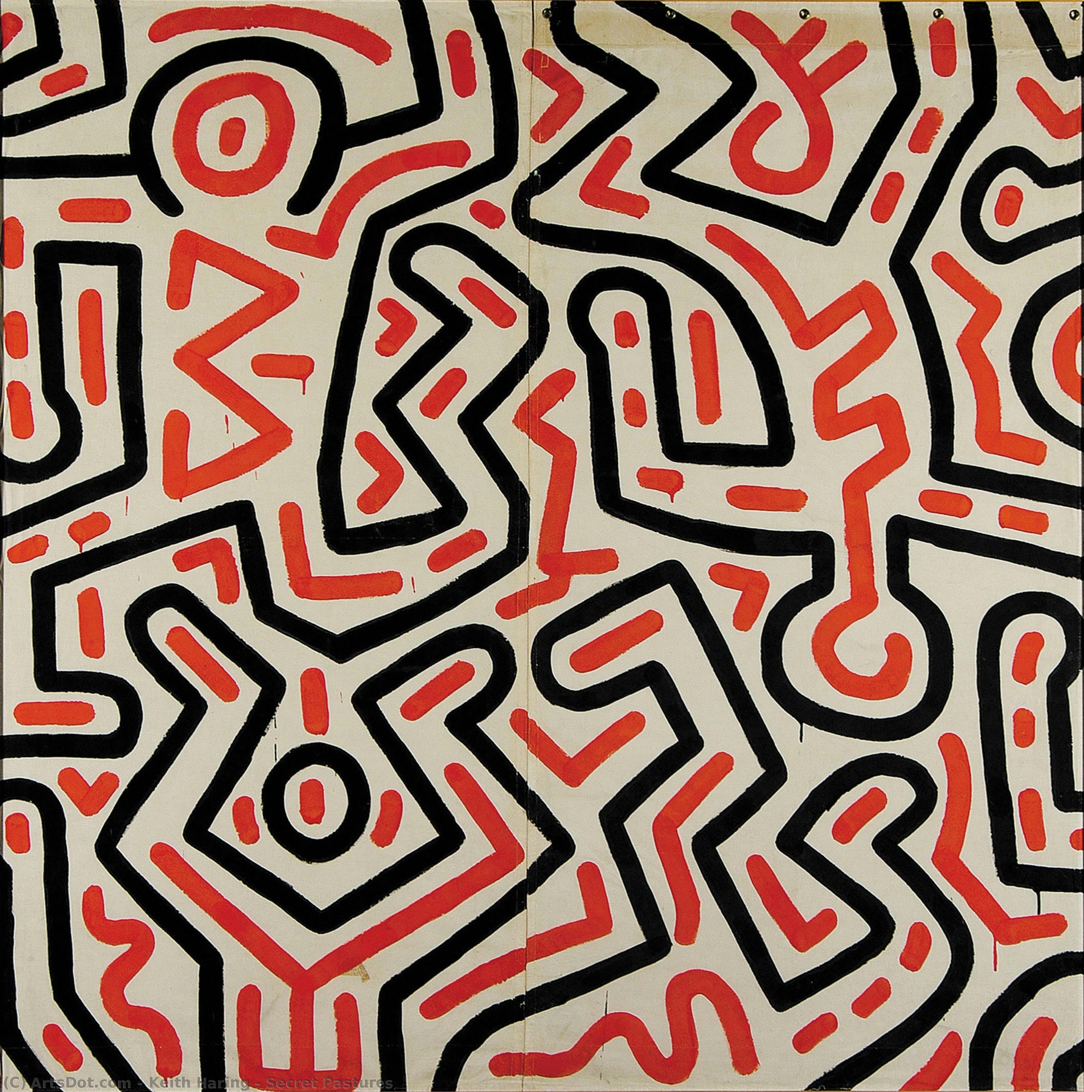 Keith Haring - Geheime Weiden