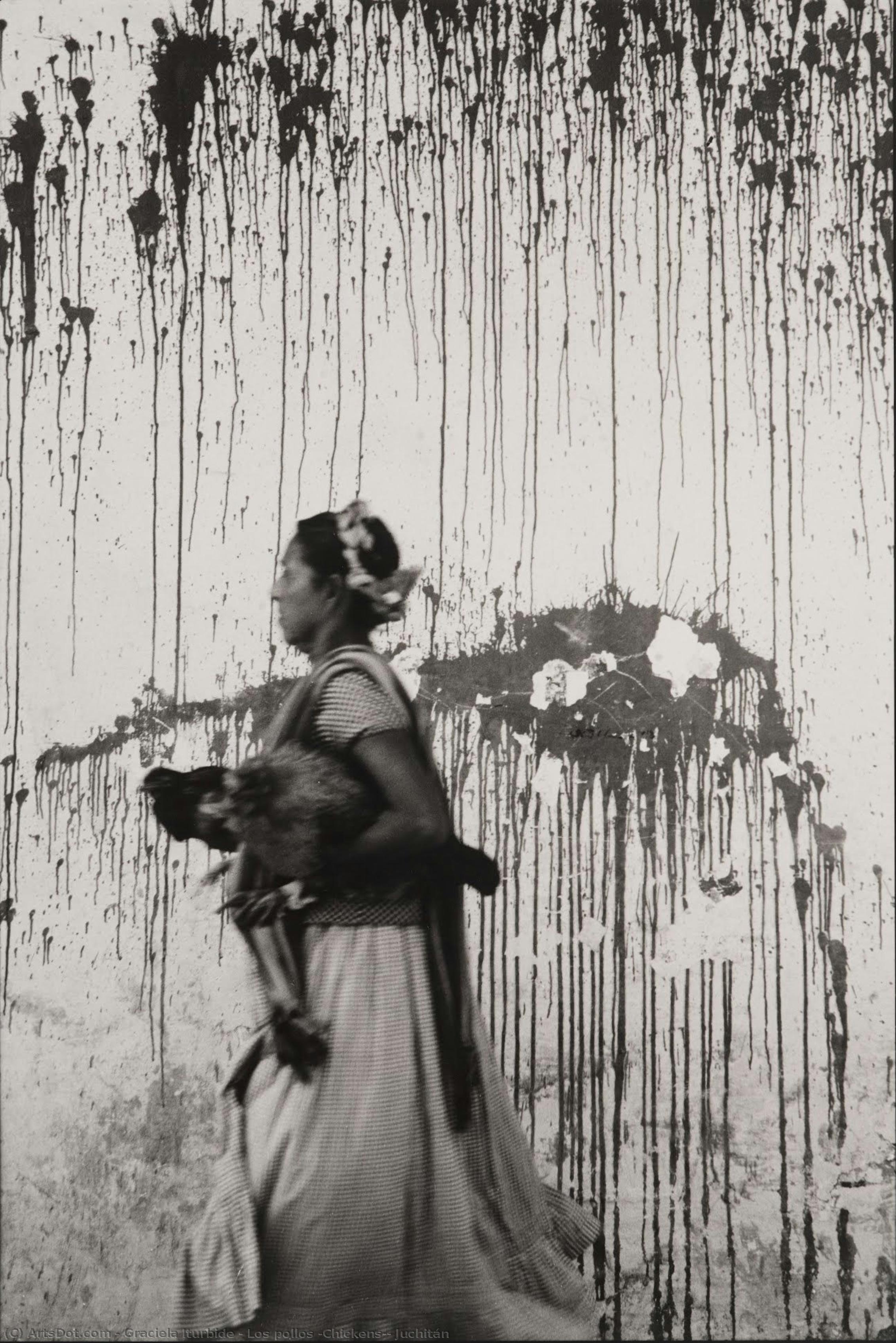 Los Pollos — Graciela Iturbide