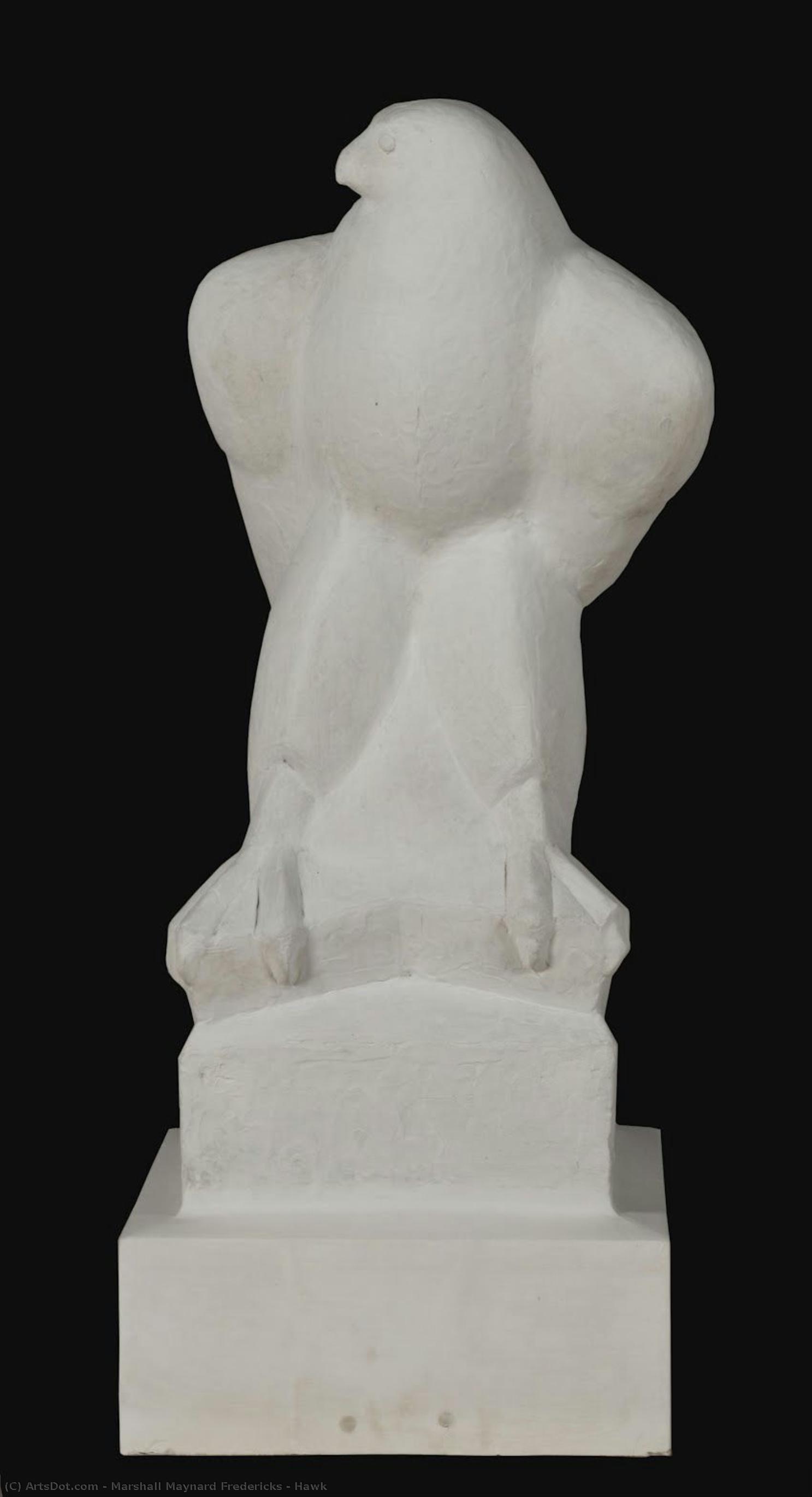 Hawk — Marshall Maynard Fredericks