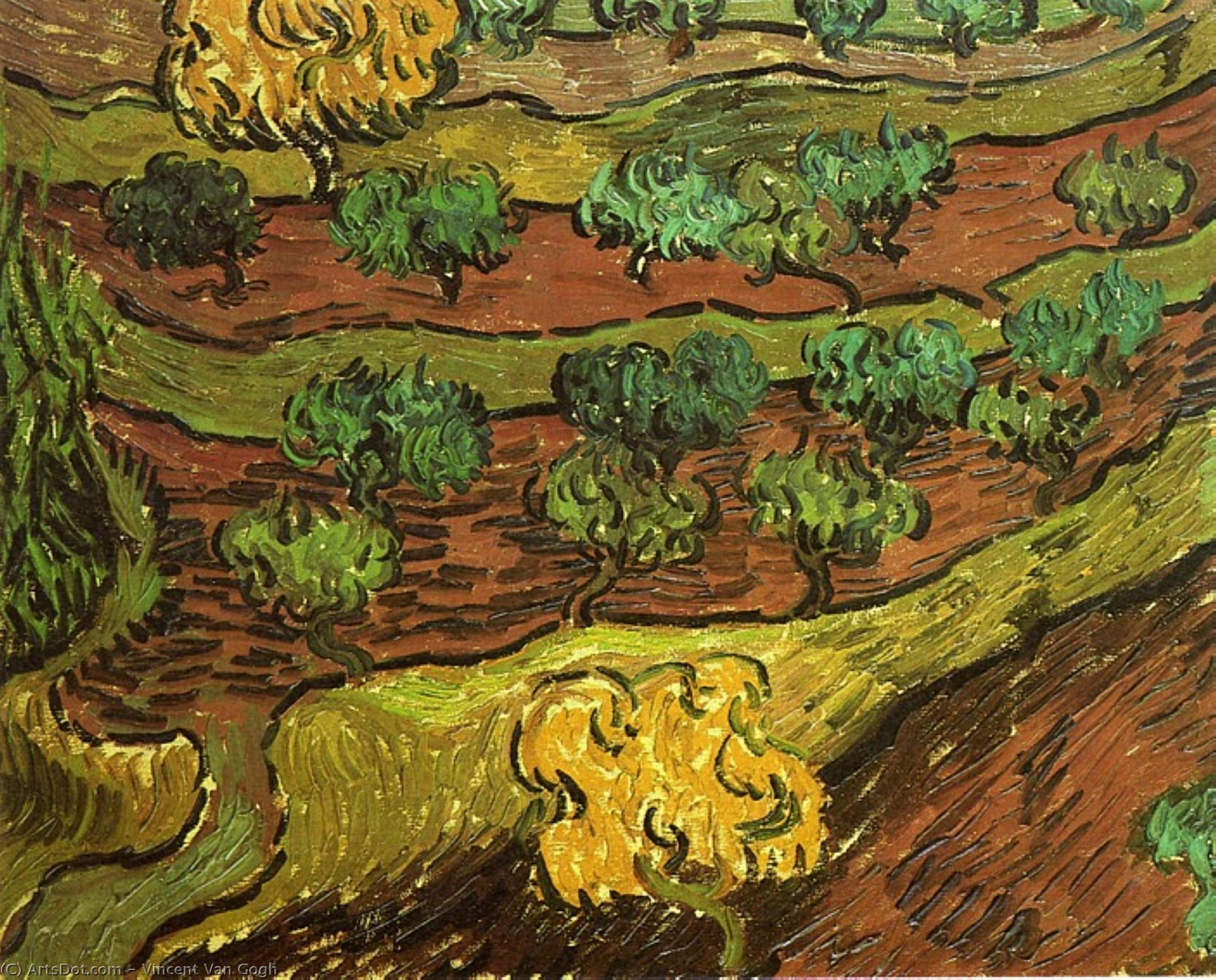 Oljaka Protiv Naglaštene Padine Brda Ovaj Nizozemski Majstor, Vincent Van Gogh, U Ovome Djelu Prikazuje Oljake Na Naglaštenoj Padini Brda. Ovo Je Izvanredan Primjer Impresionizma I Post-impresionizma. U Ovom Djelu Van Gogh Koristi Bogate Boje I Teksturu — Vincent Van Gogh