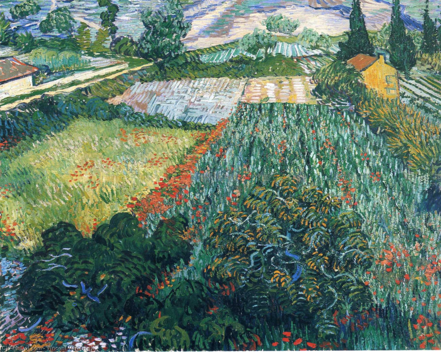Vinsentas Van Gogas - Field with Poppies