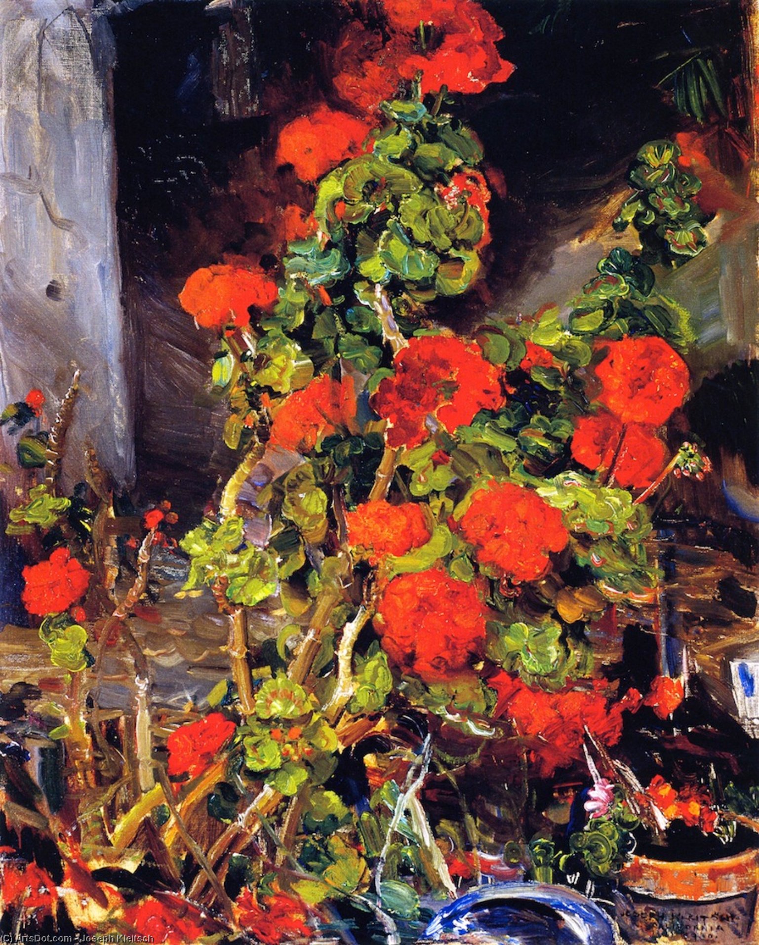 Geraniums — Joseph Kleitsch