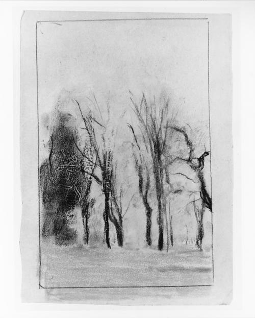 Trees In Spring — Arthur B. Davies